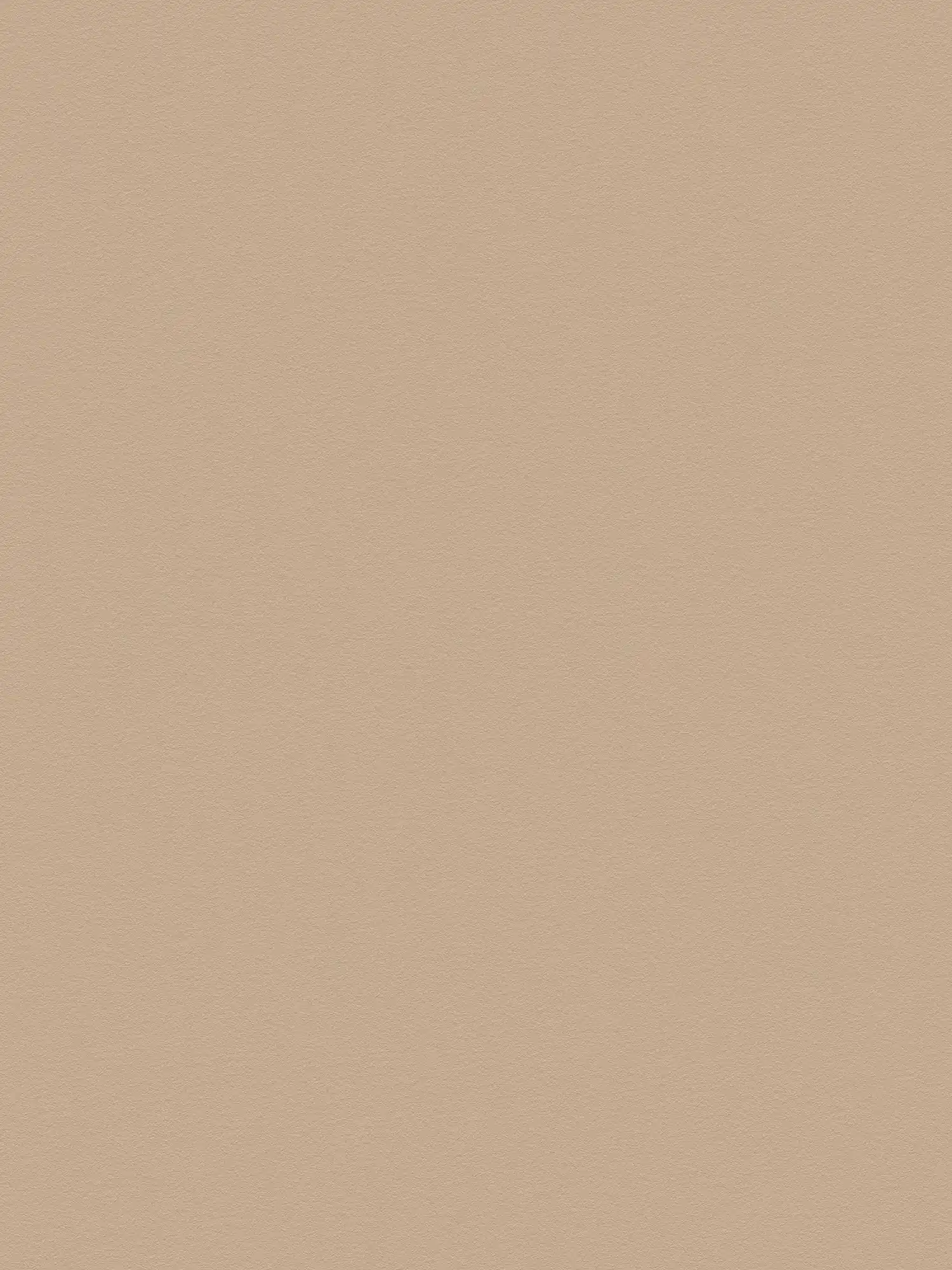 Plain wallpaper light brown with smooth surface - beige, brown
