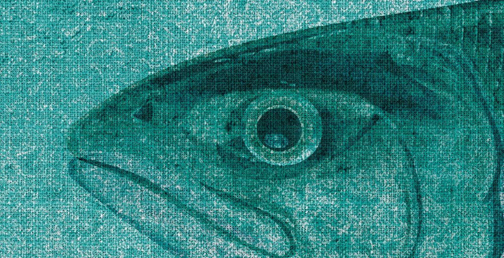             Into the blue 2 - Fish watercolour in green as photo wallpaper - natural linen structure - grey, green | structure non-woven
        