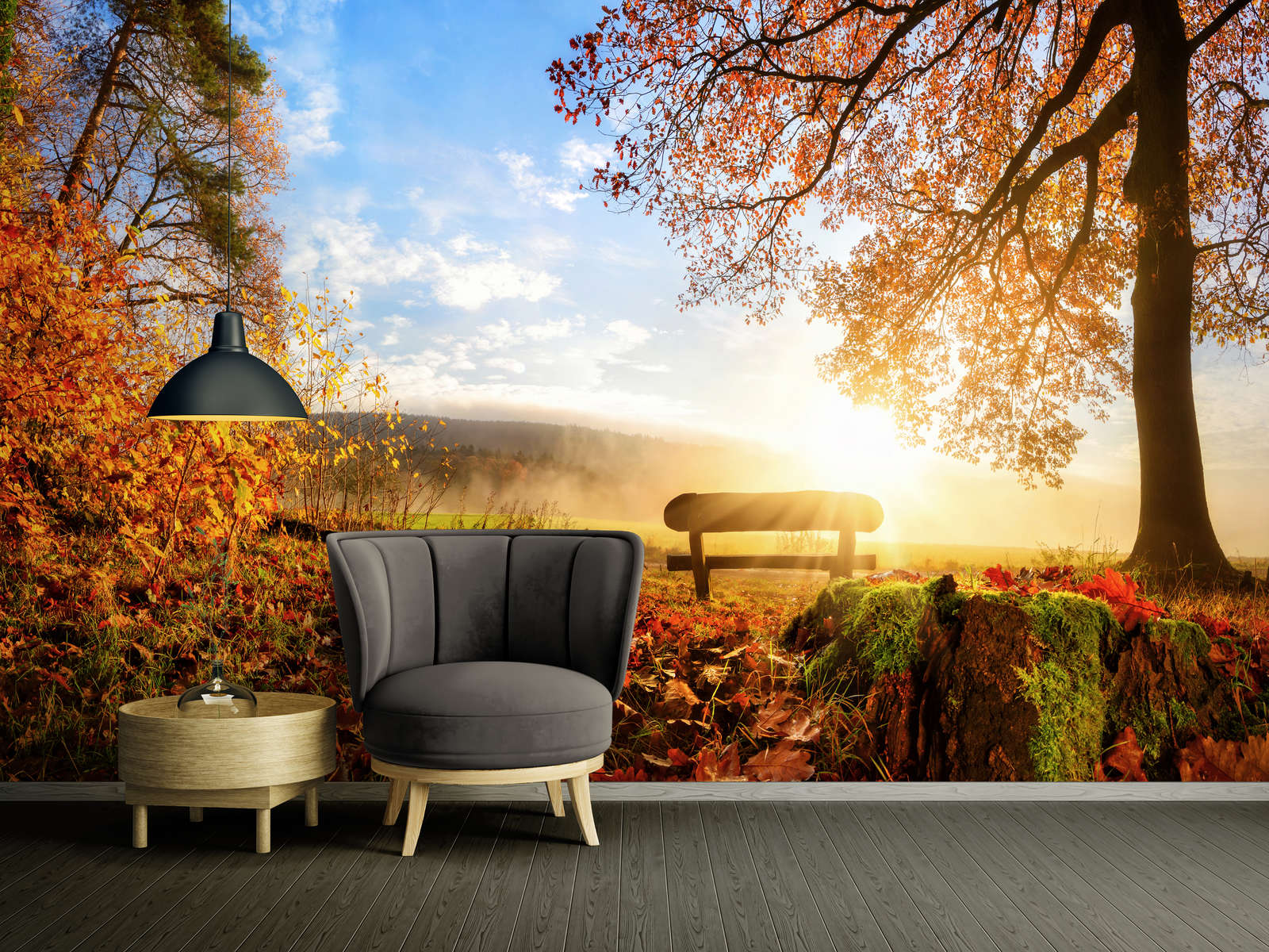             Photo wallpaper bench in the forest on an autumn morning - mother-of-pearl smooth non-woven
        