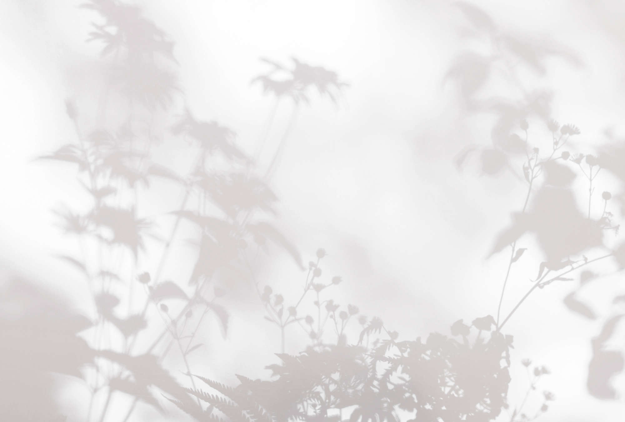             Sala de Sombras 2 - Papel Pintado Naturaleza Gris y Blanco, Diseño Descolorido
        