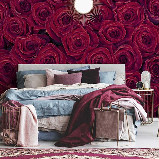 Red roses photo wallpaper in bedroom as dark red accent wall DD115098
