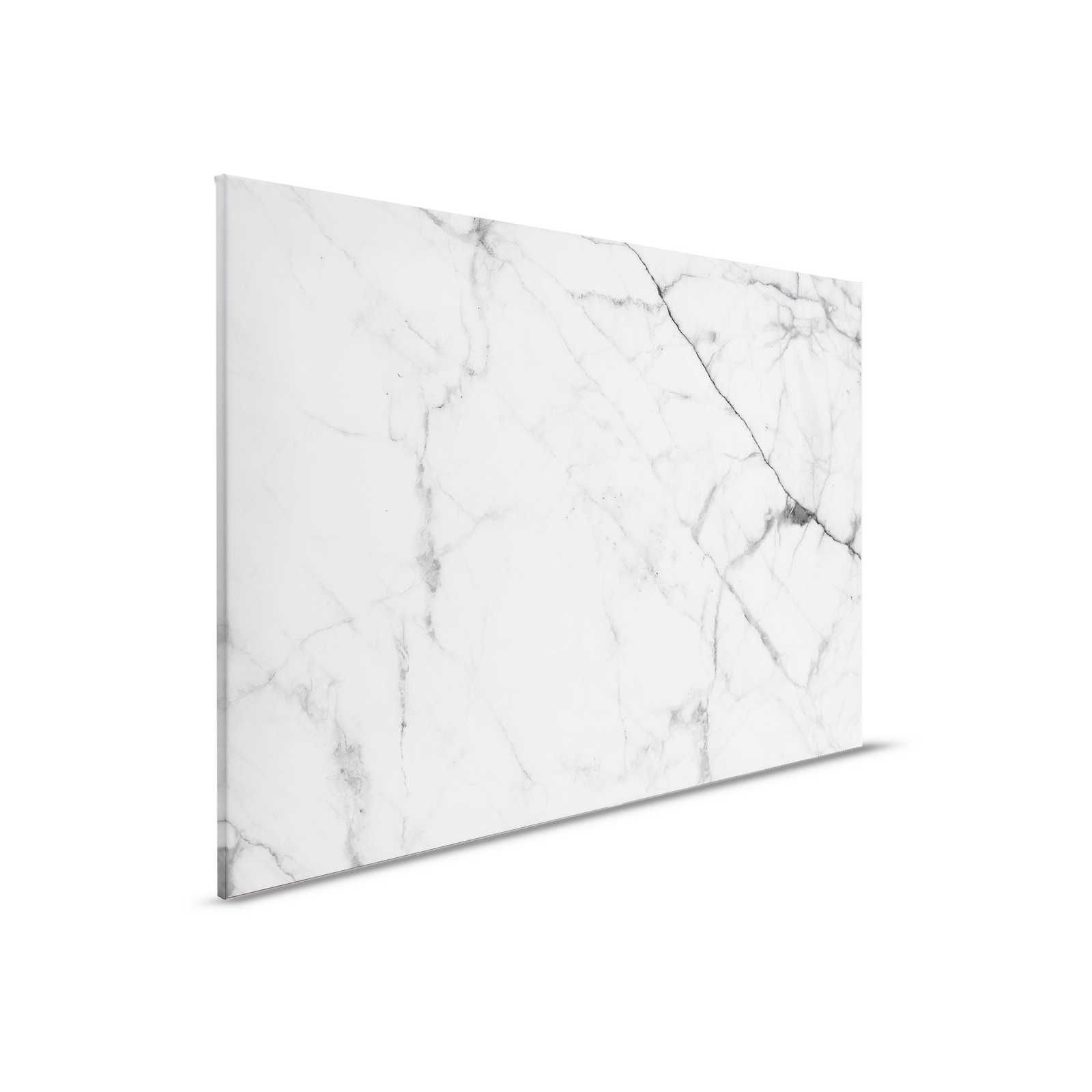         Black and White Canvas Painting Marble with Nature Details - 0.90 m x 0.60 m
    