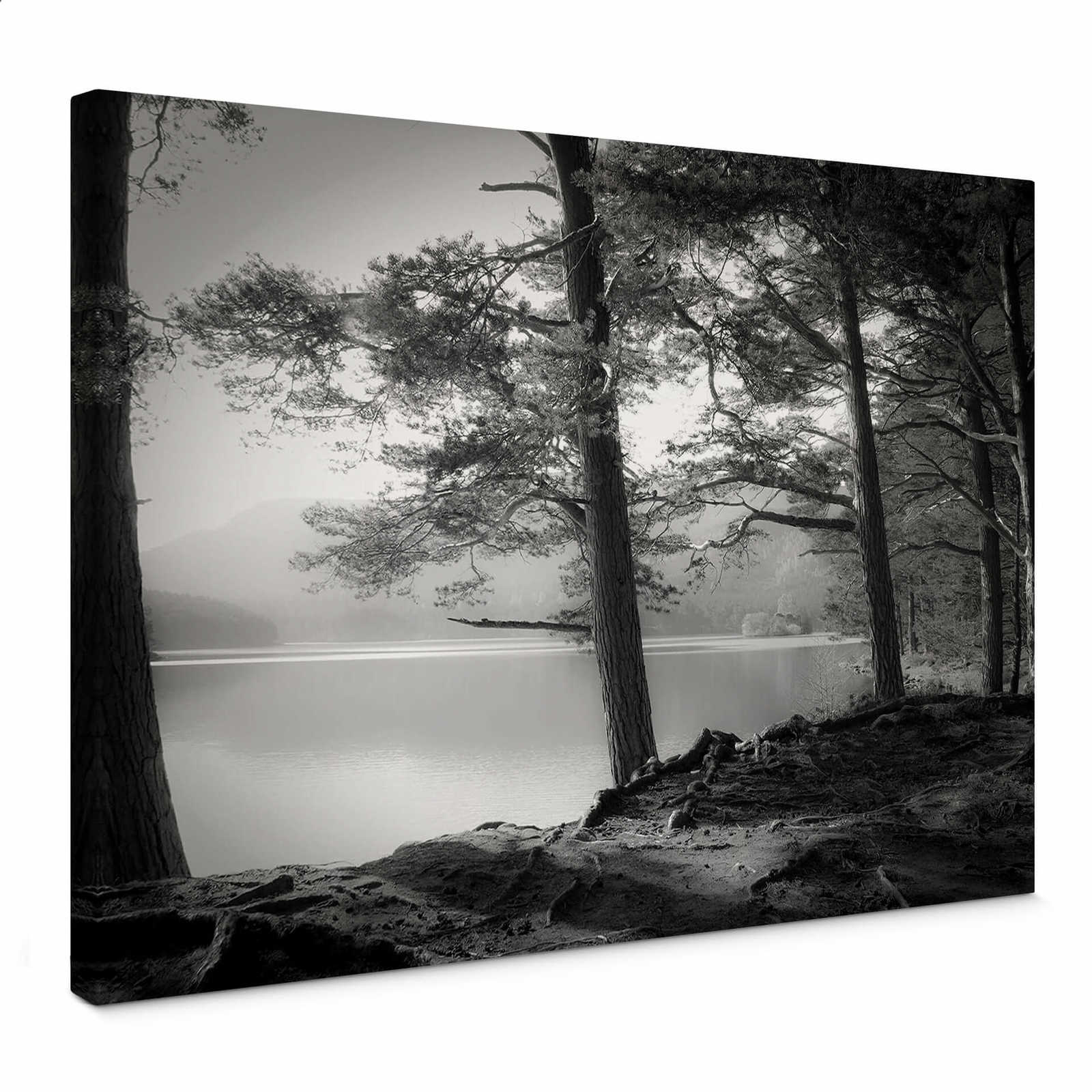         Black and white canvas print forest and lake by Fuhg
    
