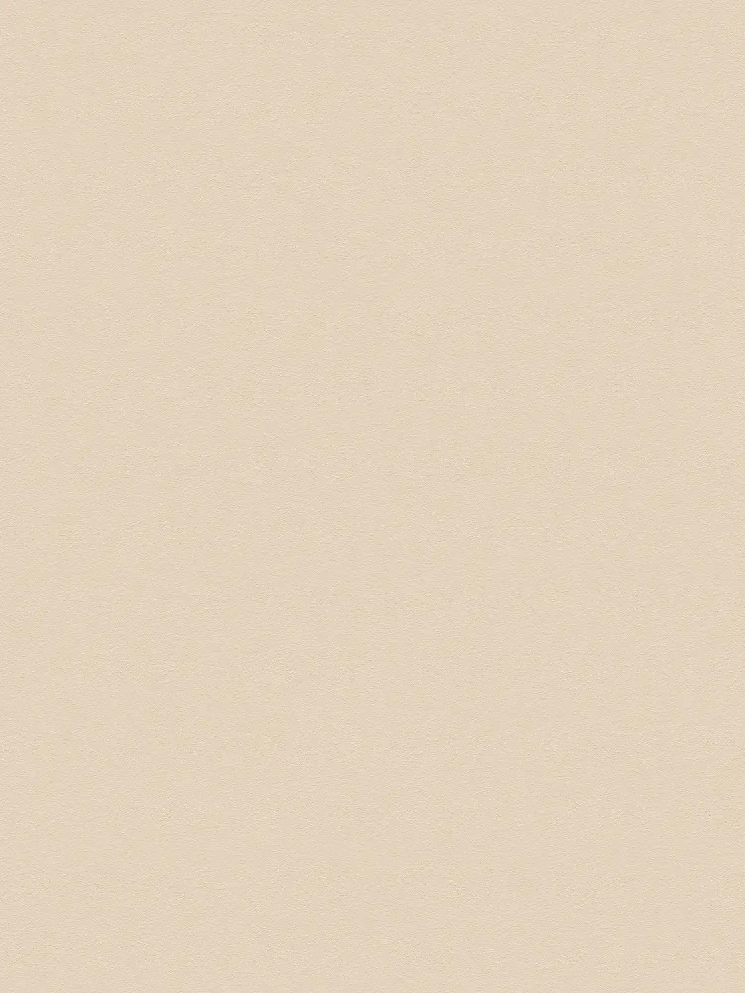papier peint beige uni avec peau d'éléphant structure mousse
