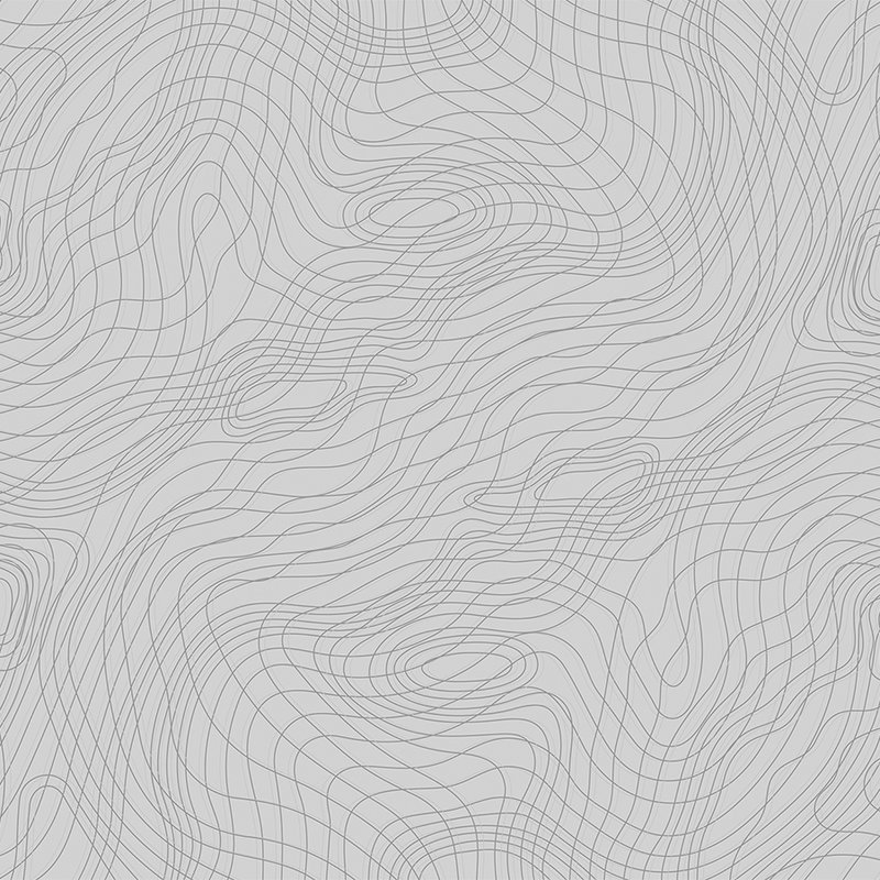         Photo wallpaper line pattern, minimalist & organic - grey, black
    
