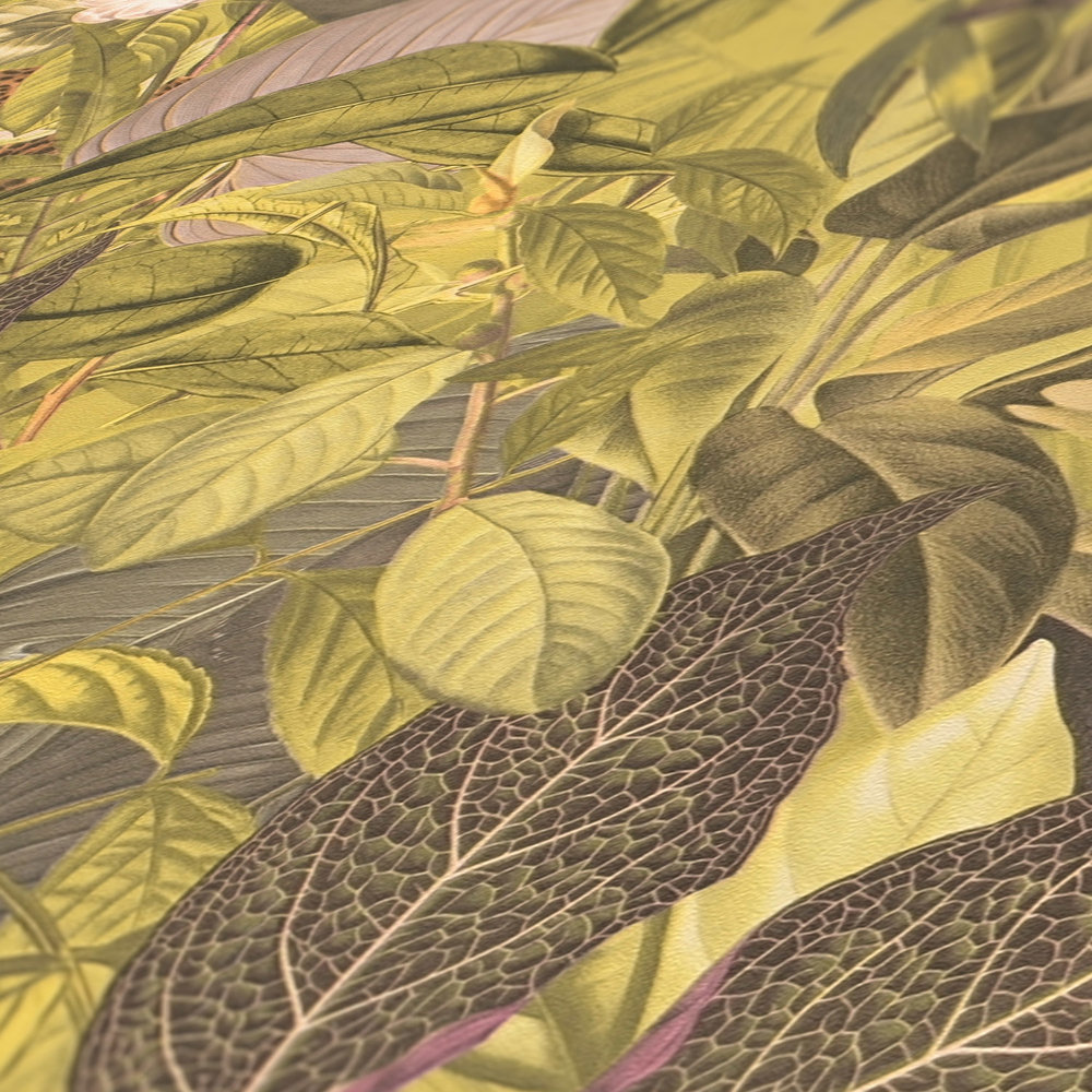             Papier peint jungle avec animaux, motif enfant - marron, vert
        