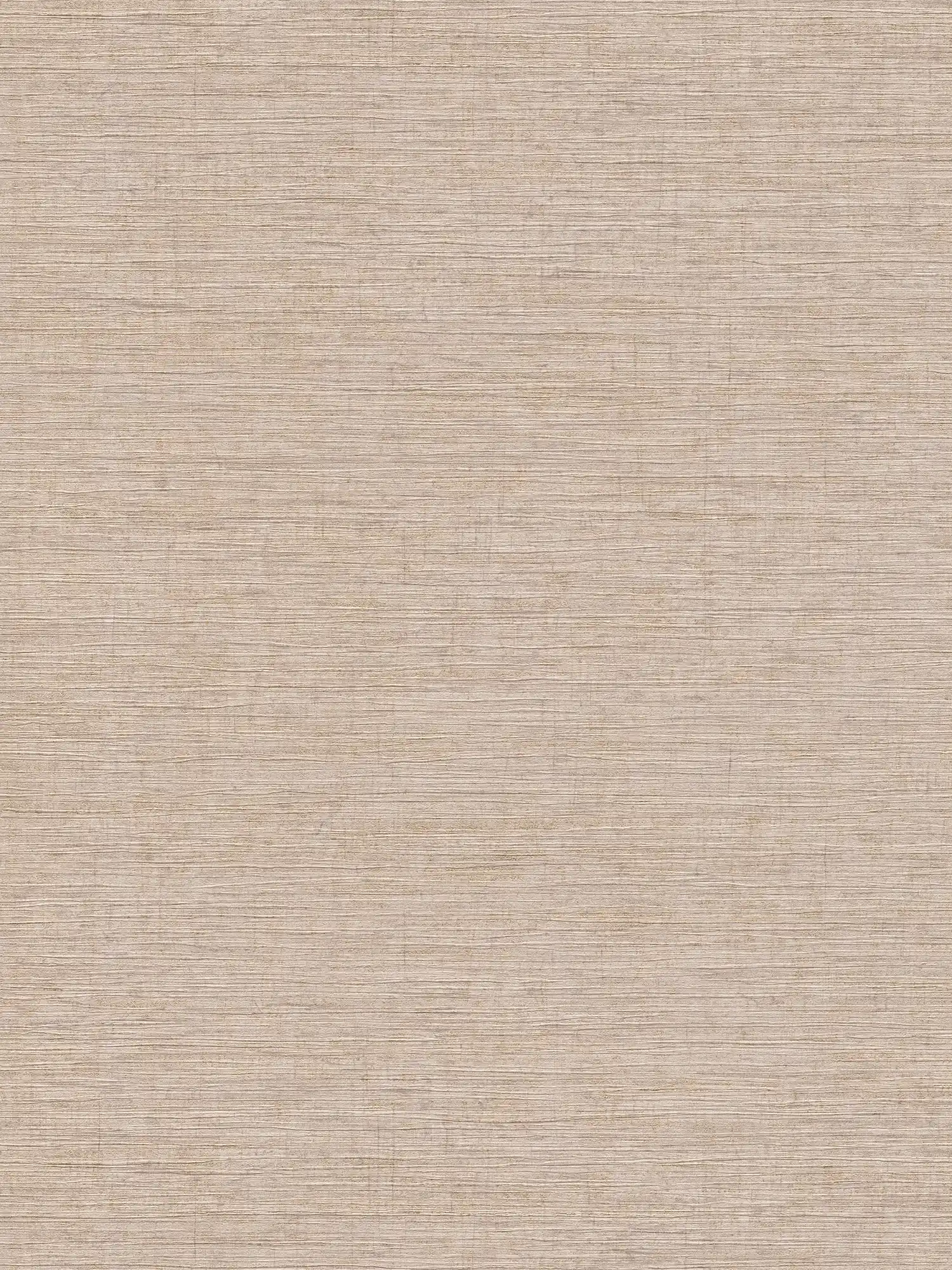 Plain wallpaper with embossed pattern - beige, metallic
