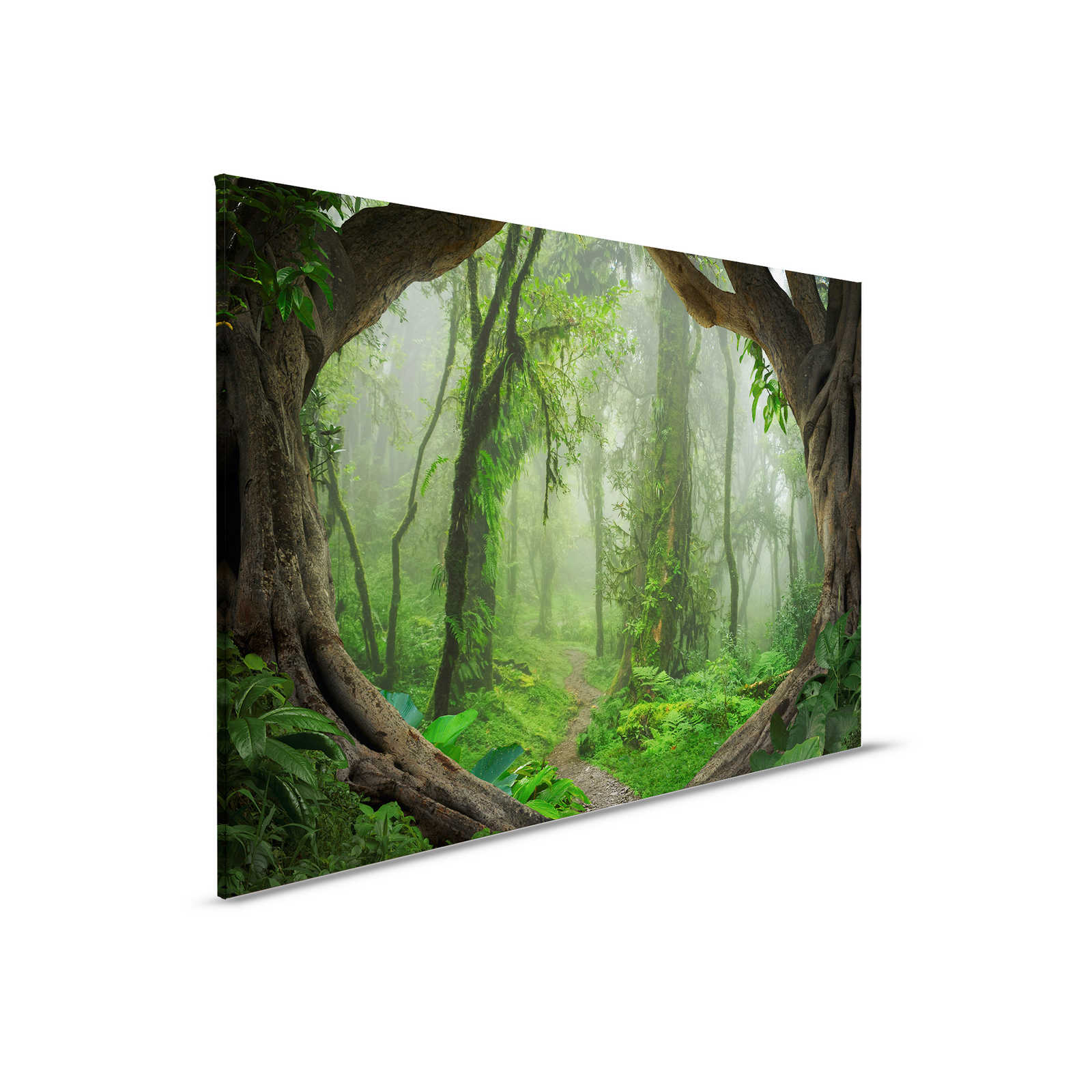 Magisch Tropisch Woud Canvas - 0,90 m x 0,60 m
