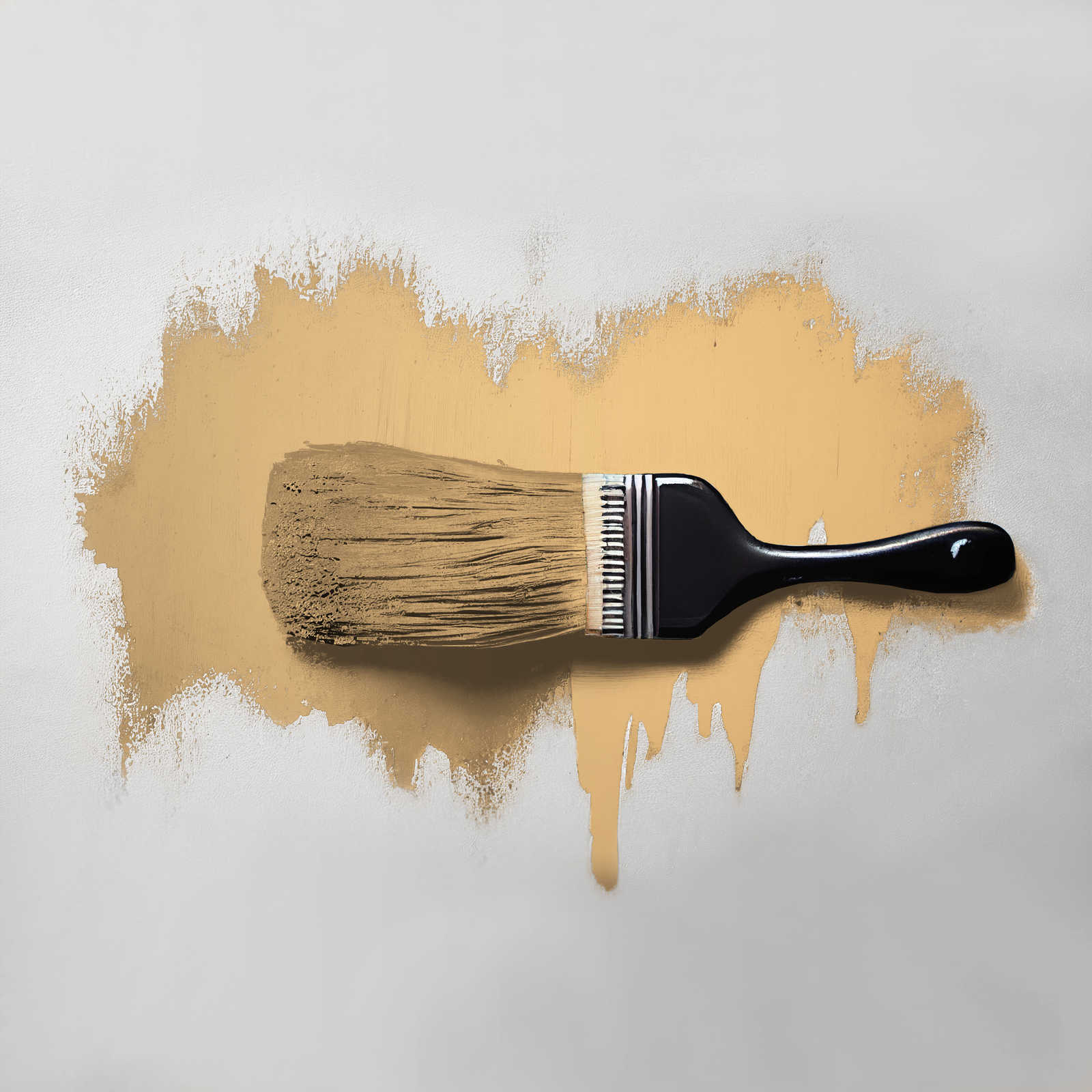             Pittura murale TCK5006 »Happy Honey« in arancione delicato – 5,0 litri
        