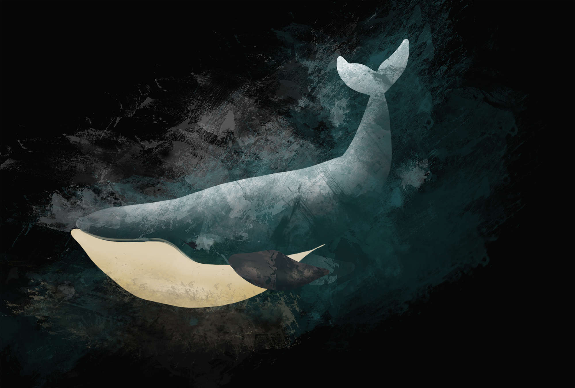             Zwart fotobehang met walvis in tekenontwerp
        