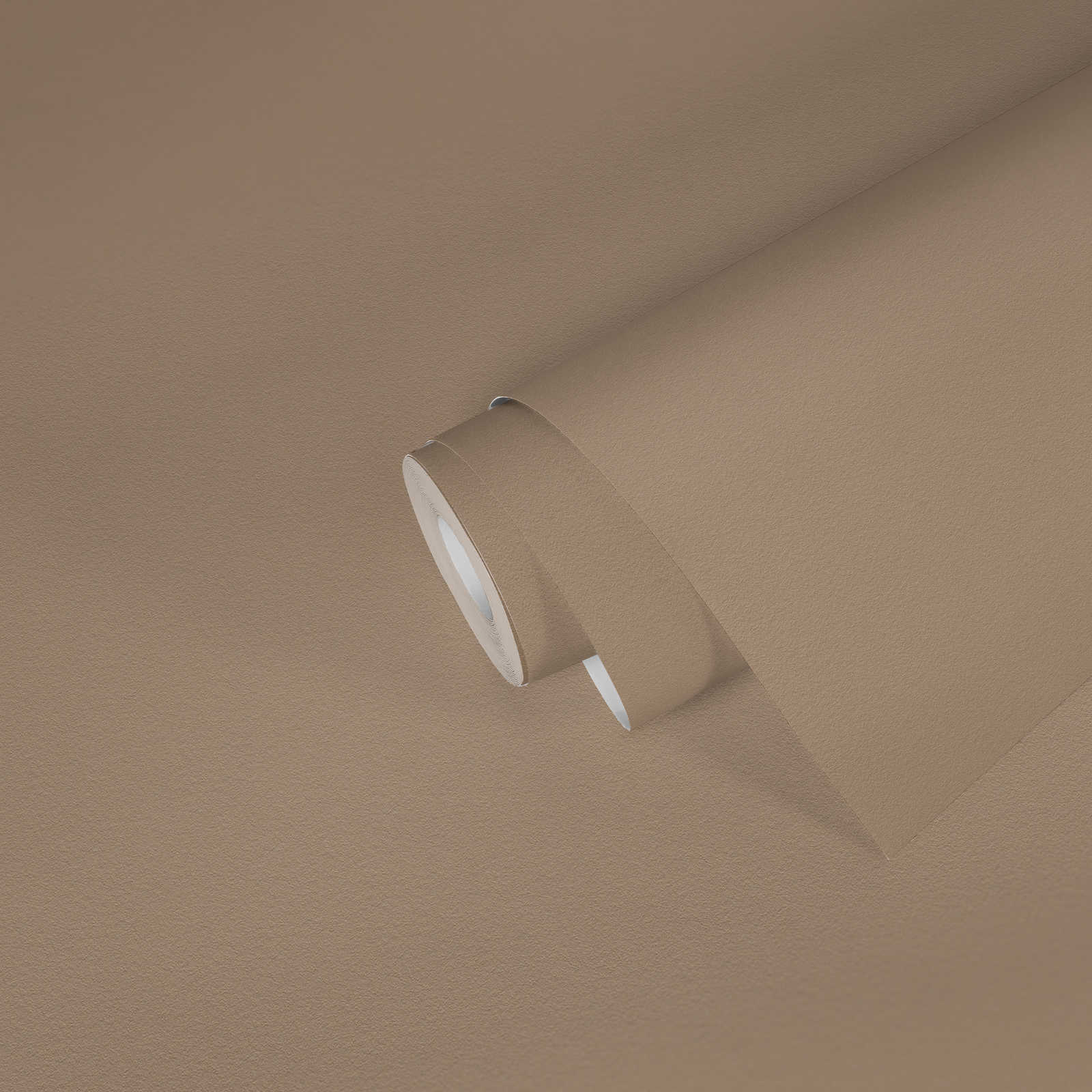             Plain wallpaper light brown with smooth surface - beige, brown
        