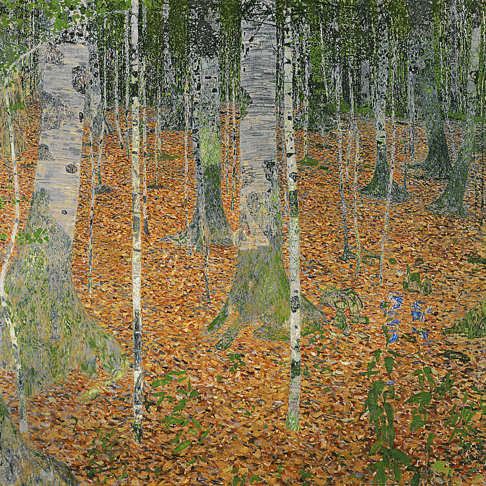             Papier peint panoramique "La forêt de bouleaux" de Gustav Klimt
        