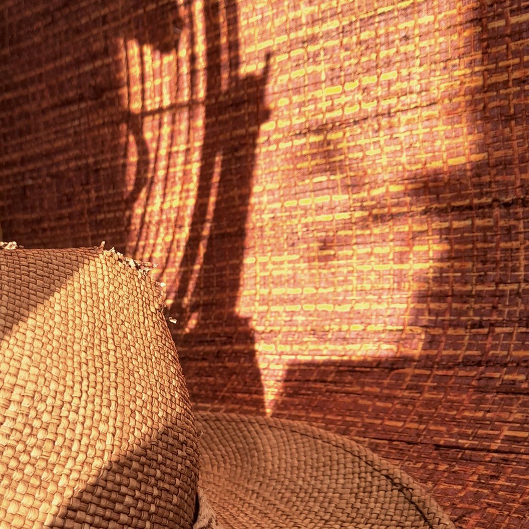 Close-up of wallpaper in bright sunlight with cast shadows AS38527