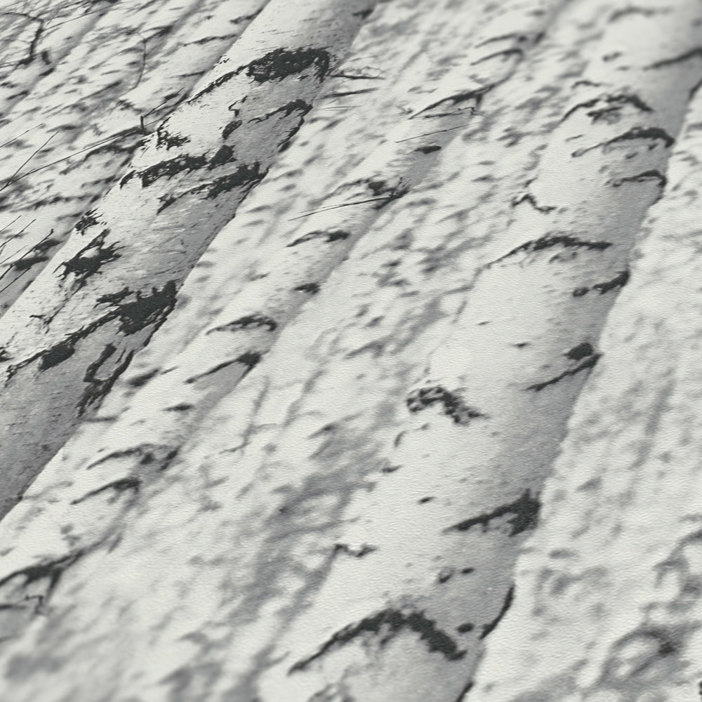             Carta da parati in bianco e nero foresta di betulle 3D - bianco, nero
        