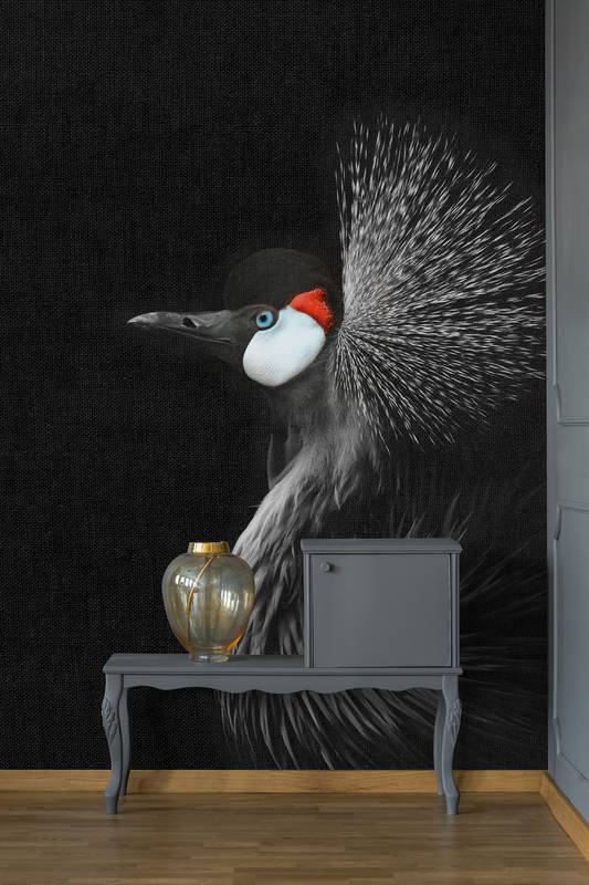             Zwart fotobehang met kraanvogelportret in XXL design
        