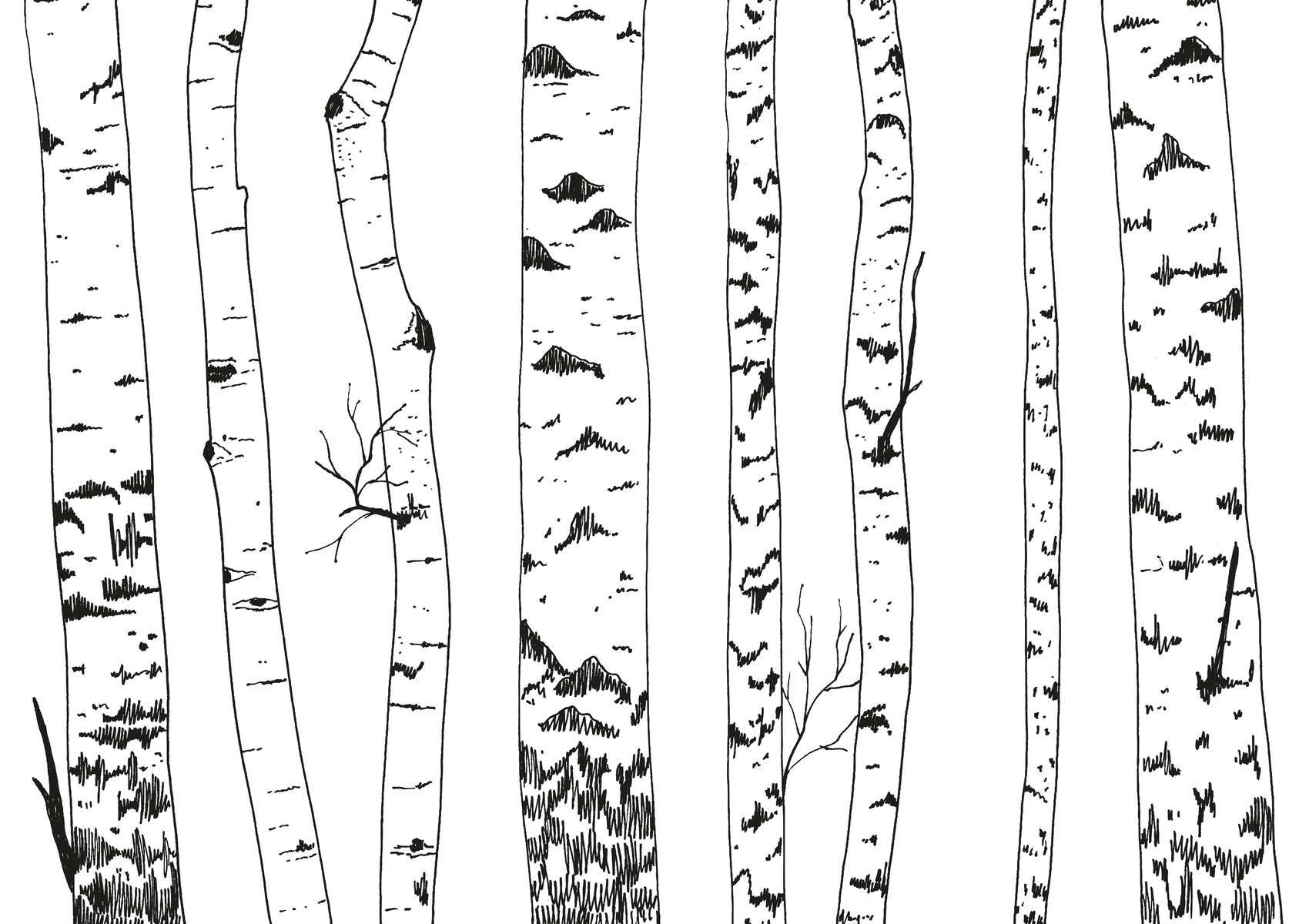             Fotomural bosque de abedules dibujado - no tejido liso y ligeramente brillante
        