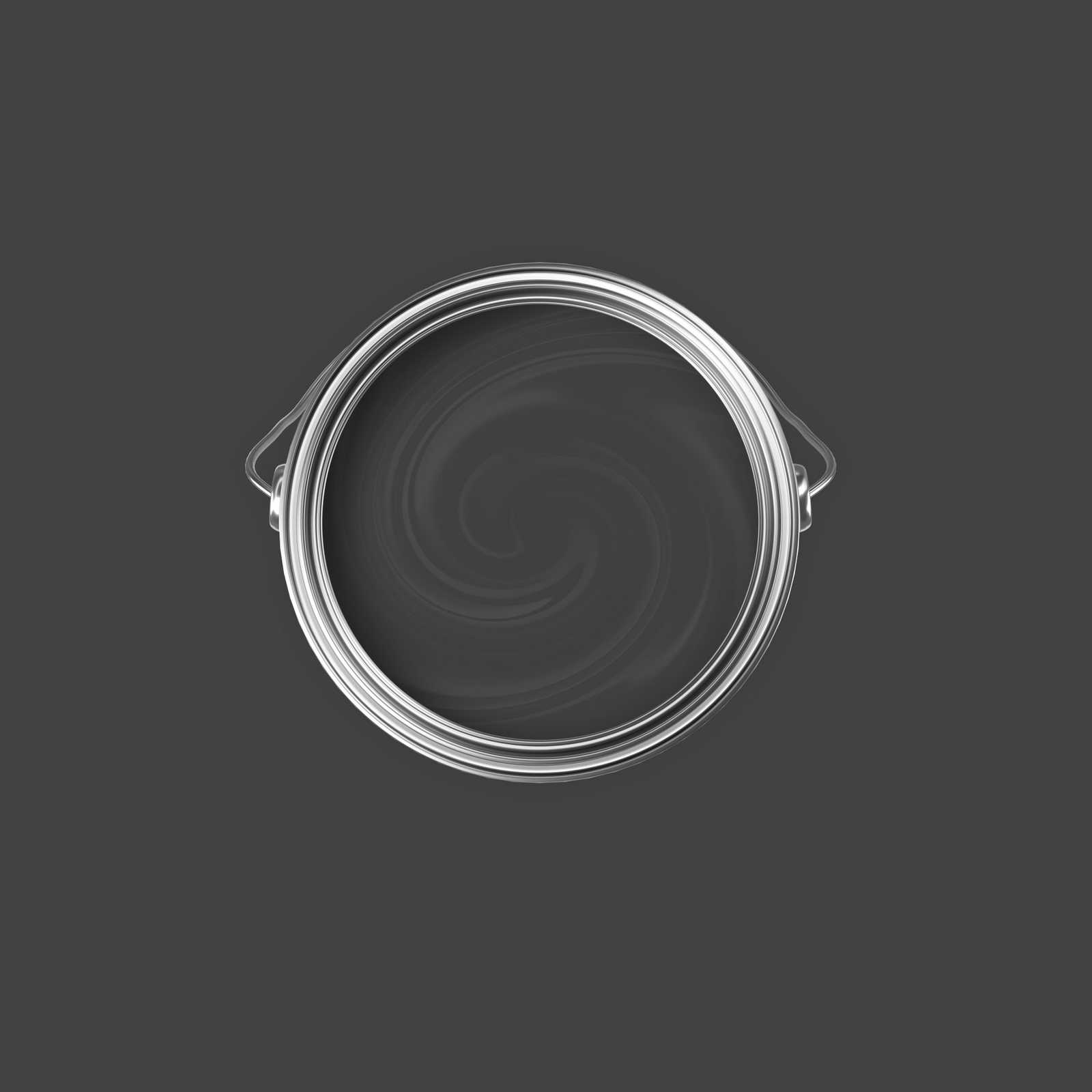             Premium Muurverf sterk zwart »Charcoal« NW106 – 2,5 Liter
        