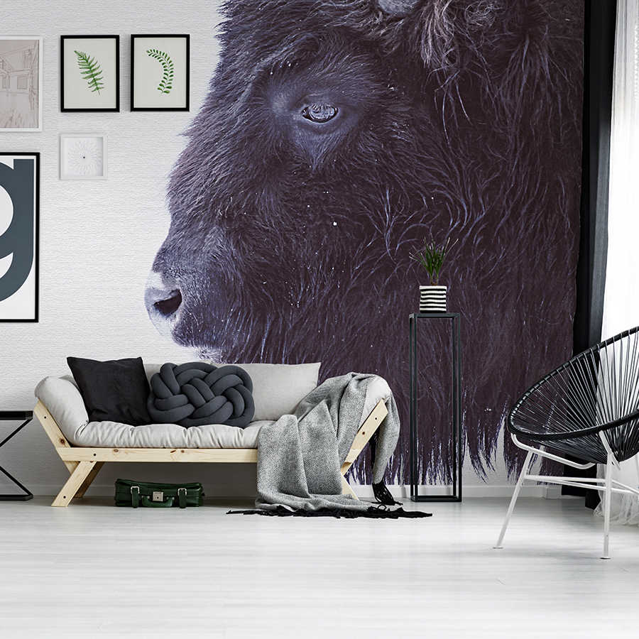         Animal mural with black buffalo in XXL design
    