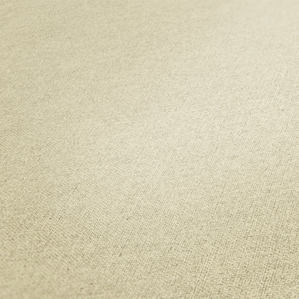             Wallpaper sand colour, matte with texture pattern
        