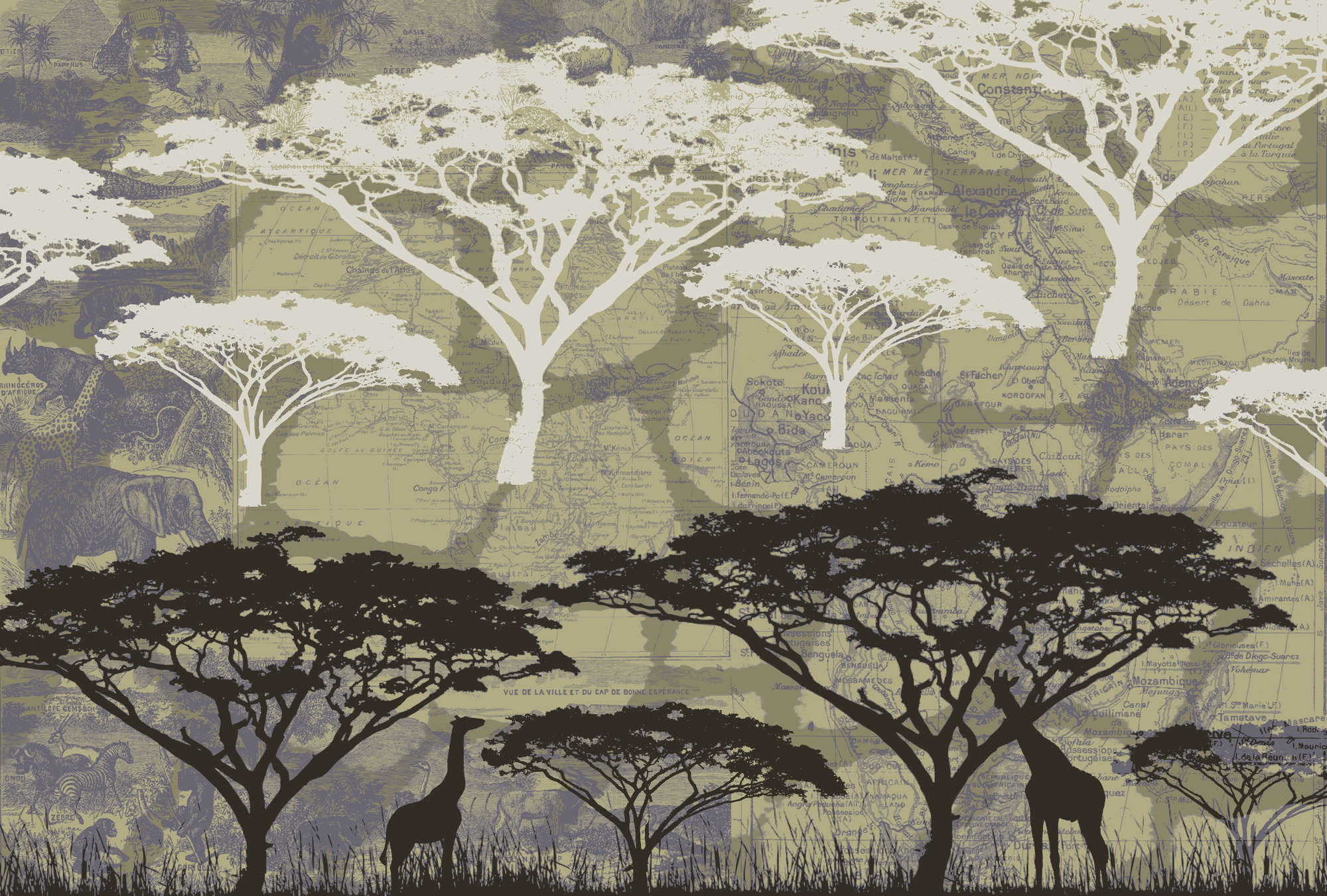             Savannah - Fotomurali in stile africano con motivo ad albero
        