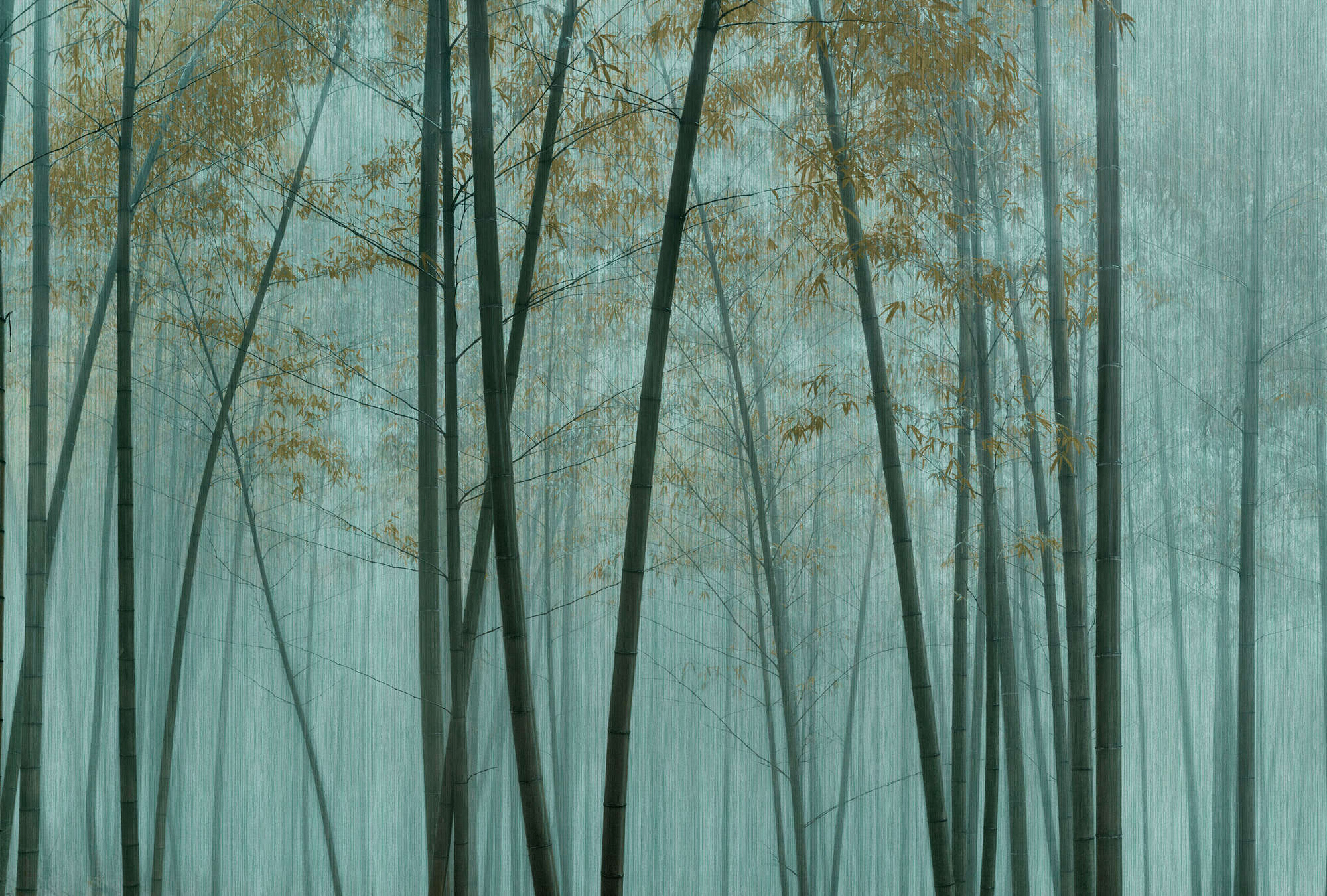             In the Bamboo 3 - Papier peint asiatique forêt de bambous
        