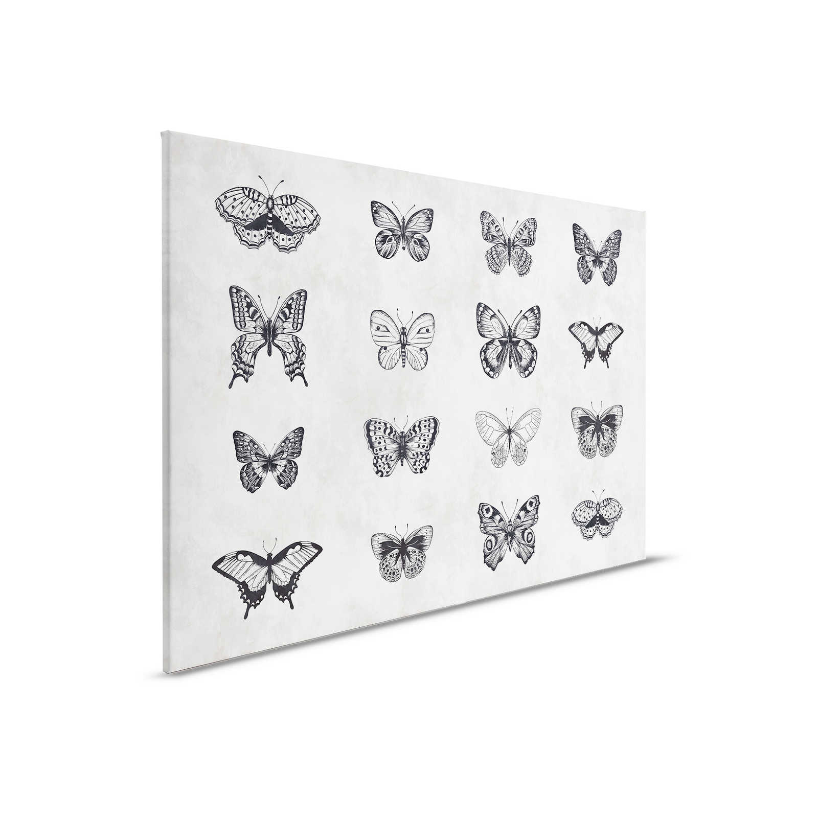         Butterfly Canvas Painting Black & White Drawings - 0.90 m x 0.60 m
    