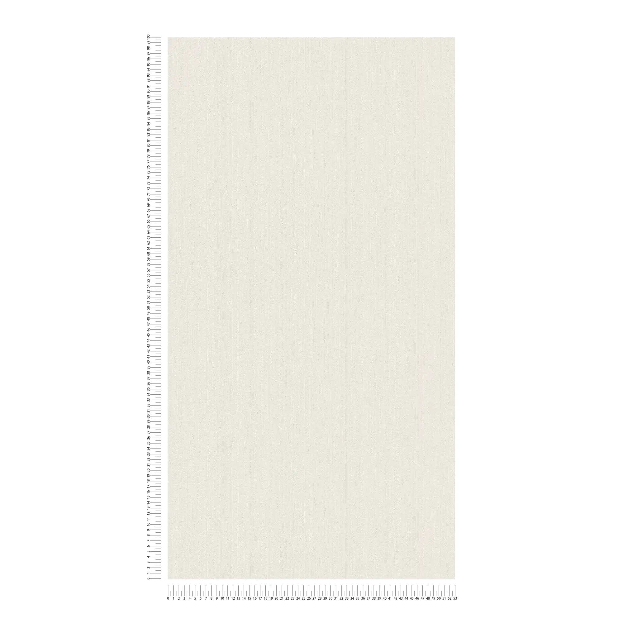             Single-coloured non-woven wallpaper with a light texture - white
        