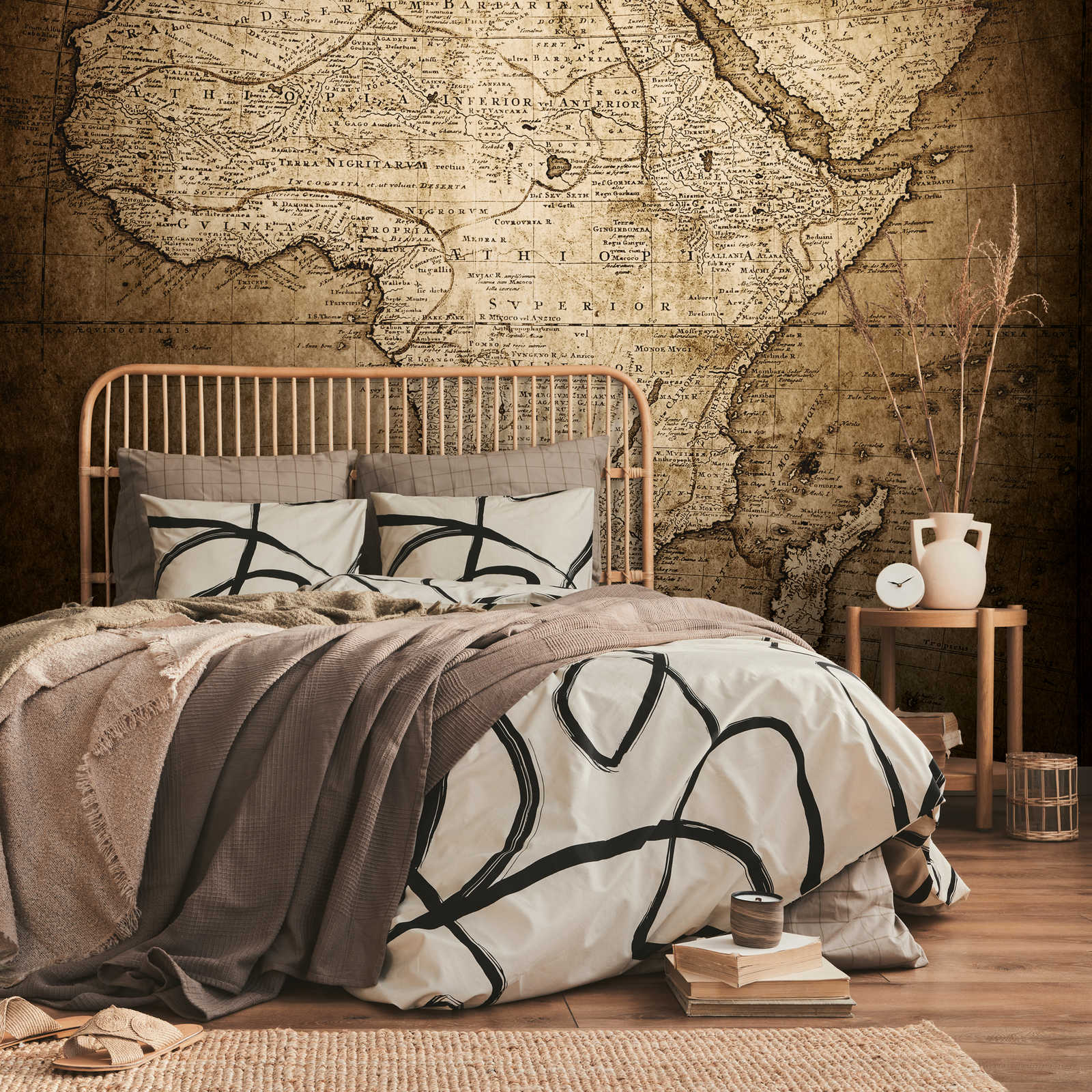 Vintage style Africa map mural
