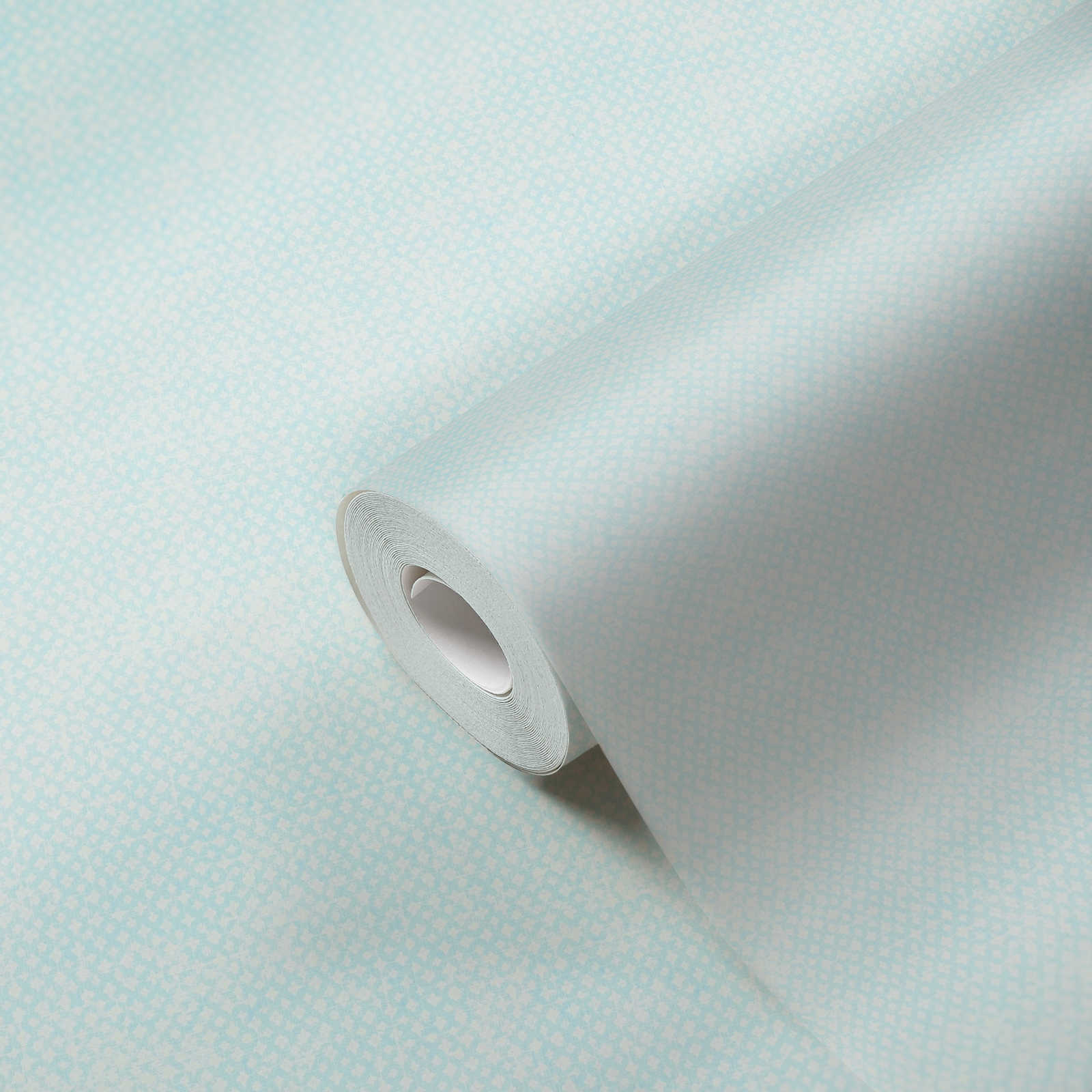             Carta da parati in tessuto non tessuto con motivo a trama fine - blu, bianco
        