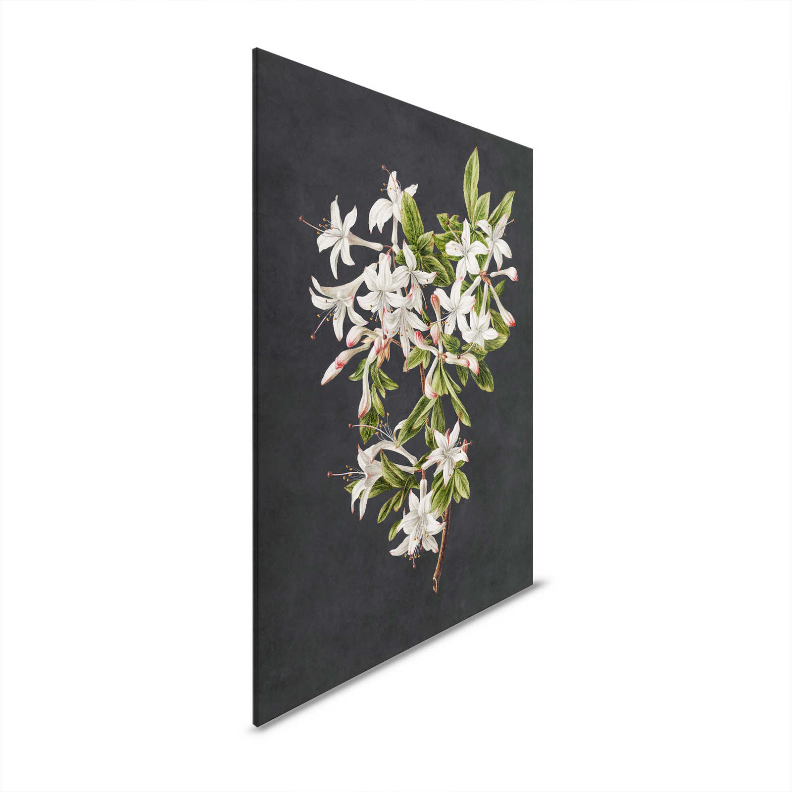 Midnight Garden 2 - Zwart Canvas Schilderij Bloeiende Tak Witte Bloemrijk - 0.80 m x 1.20 m
