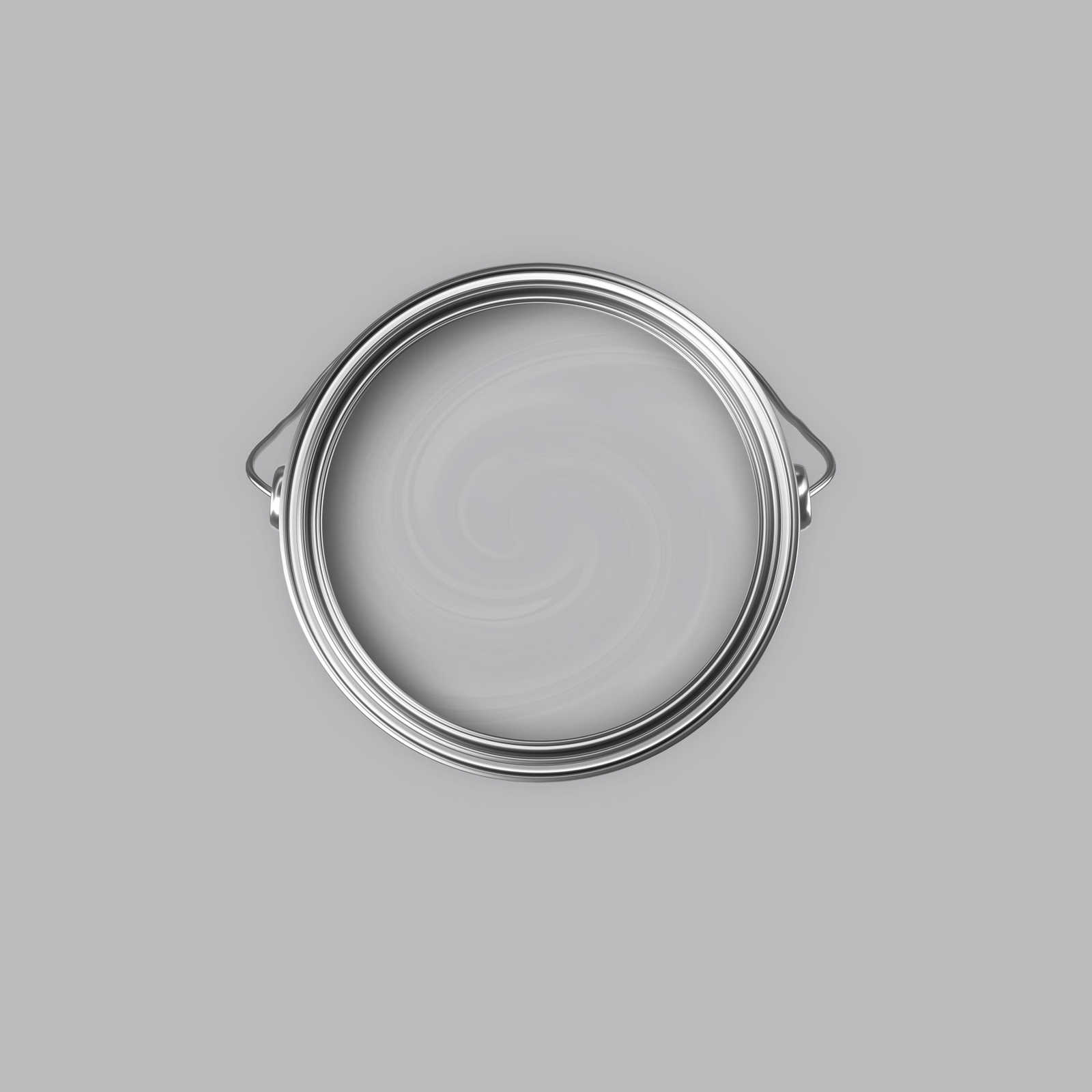             Premium Muurverf Balanced Silver »Industrial Grey« NW101 – 2,5 Liter
        