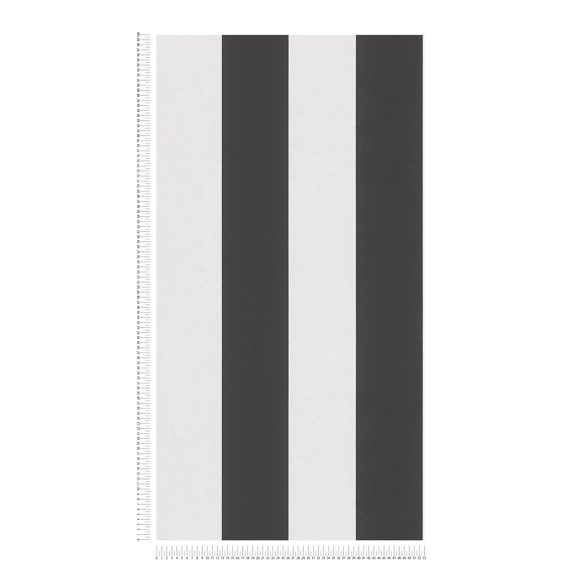             Papel pintado de rayas en blanco y negro
        
