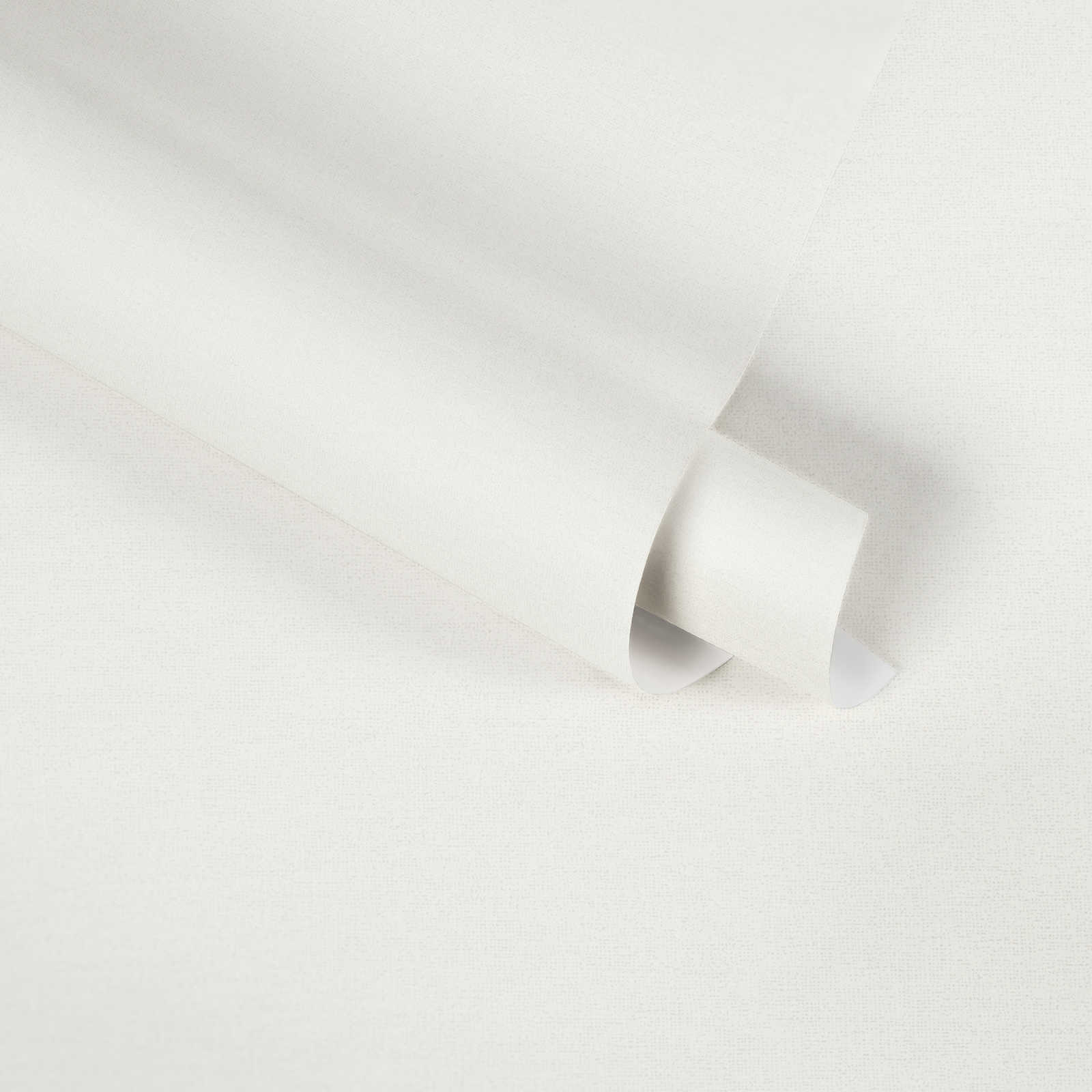             Non-woven wallpaper from MICHALSKY monochrome, matte in white
        