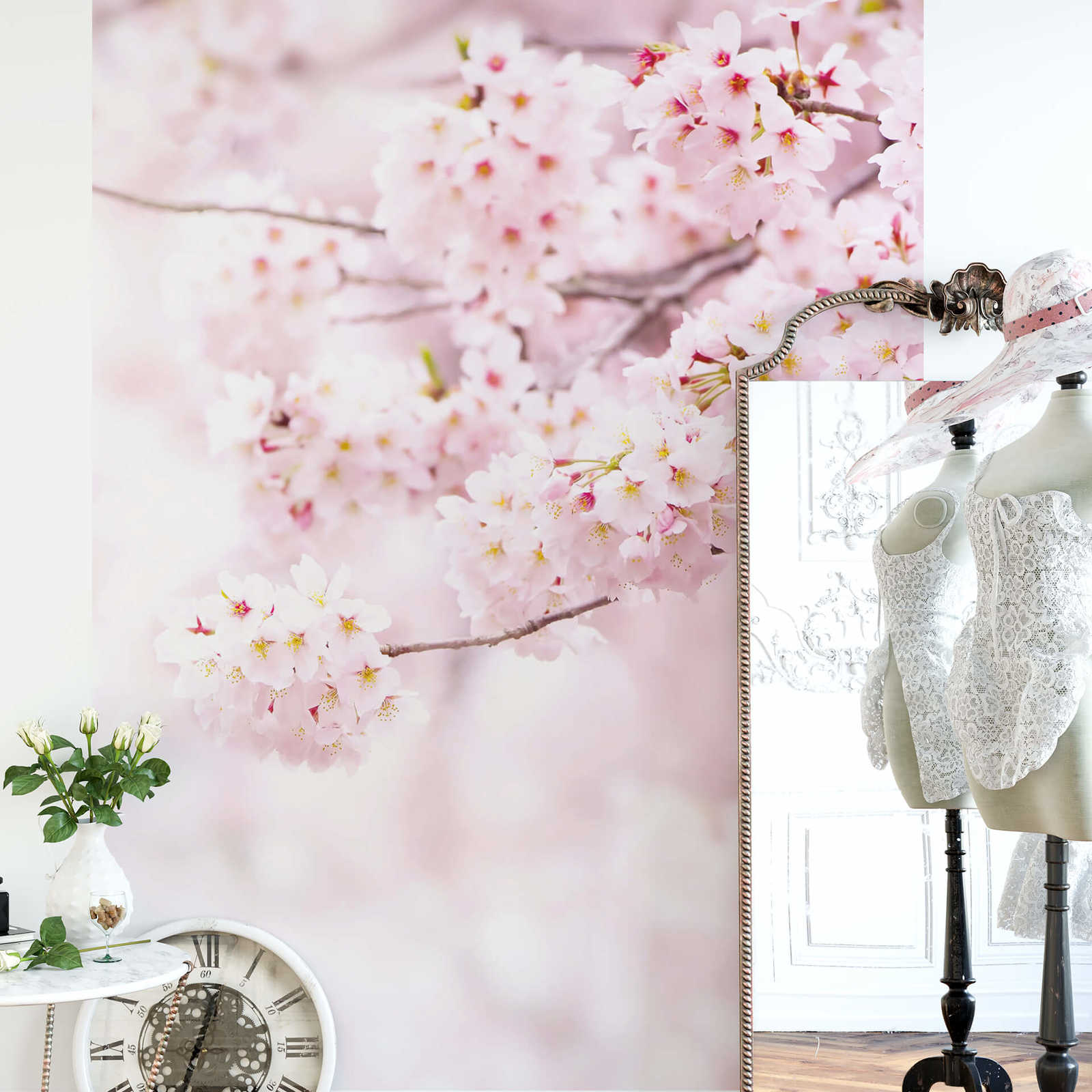             Photo wallpaper narrow spring flowers - pink, white
        