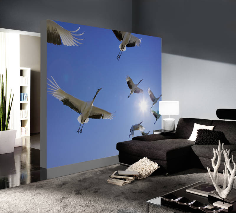             Flock of birds - mural with migratory birds & blue sky
        