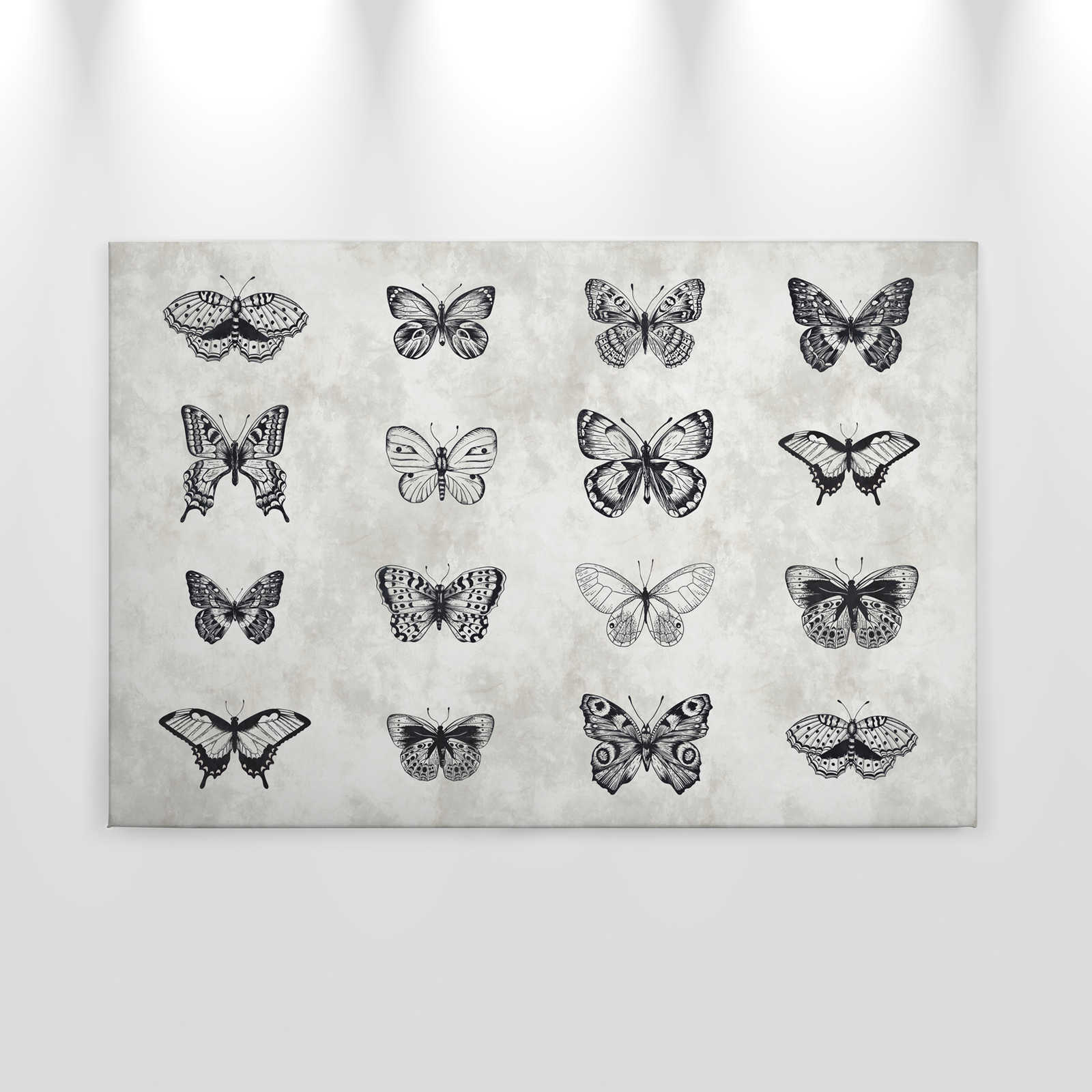             Papillon toile noir et blanc dessins - 0,90 m x 0,60 m
        