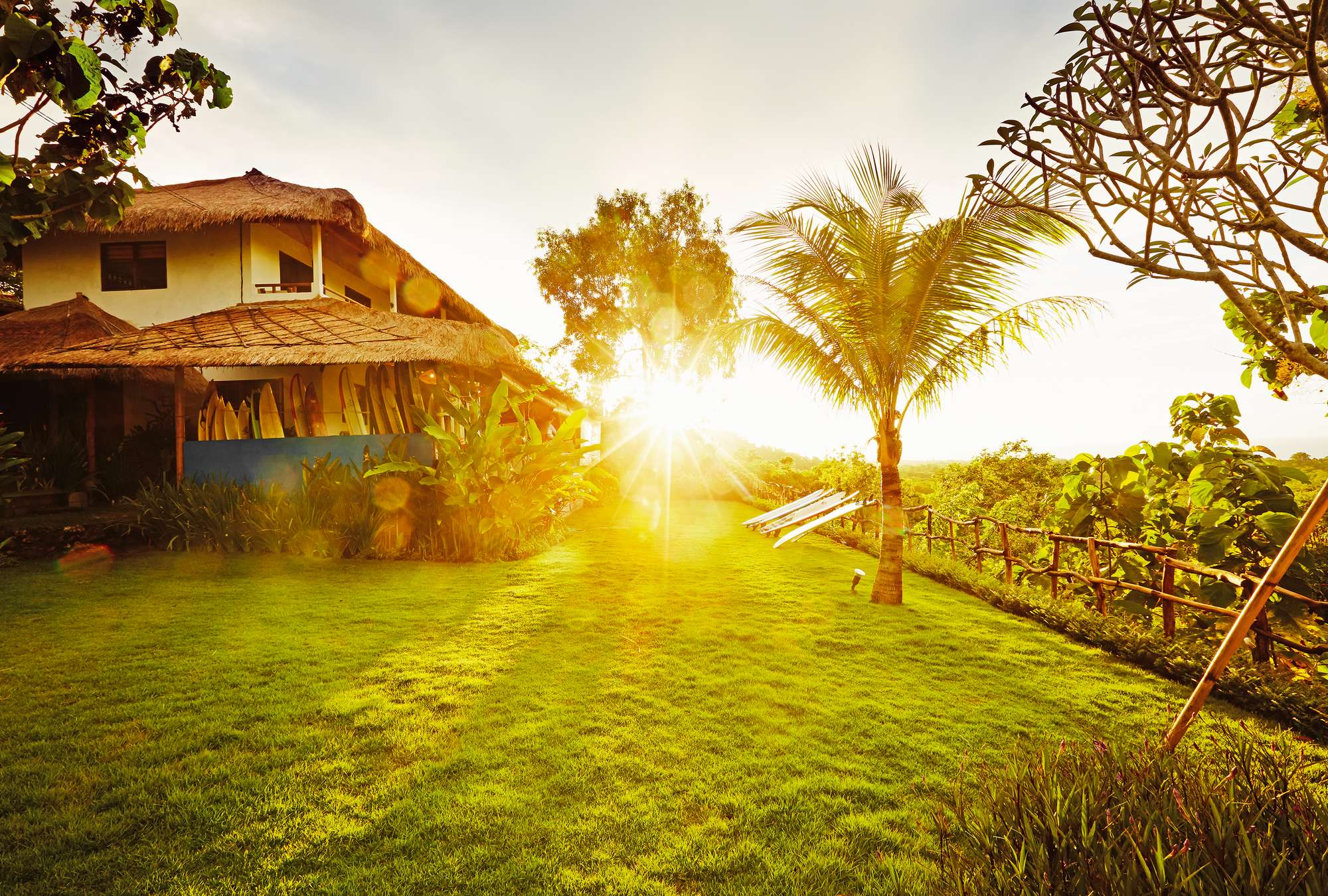             Papier peint panoramique Vivre à Bali - cabane en rondins avec jardin de palmiers
        