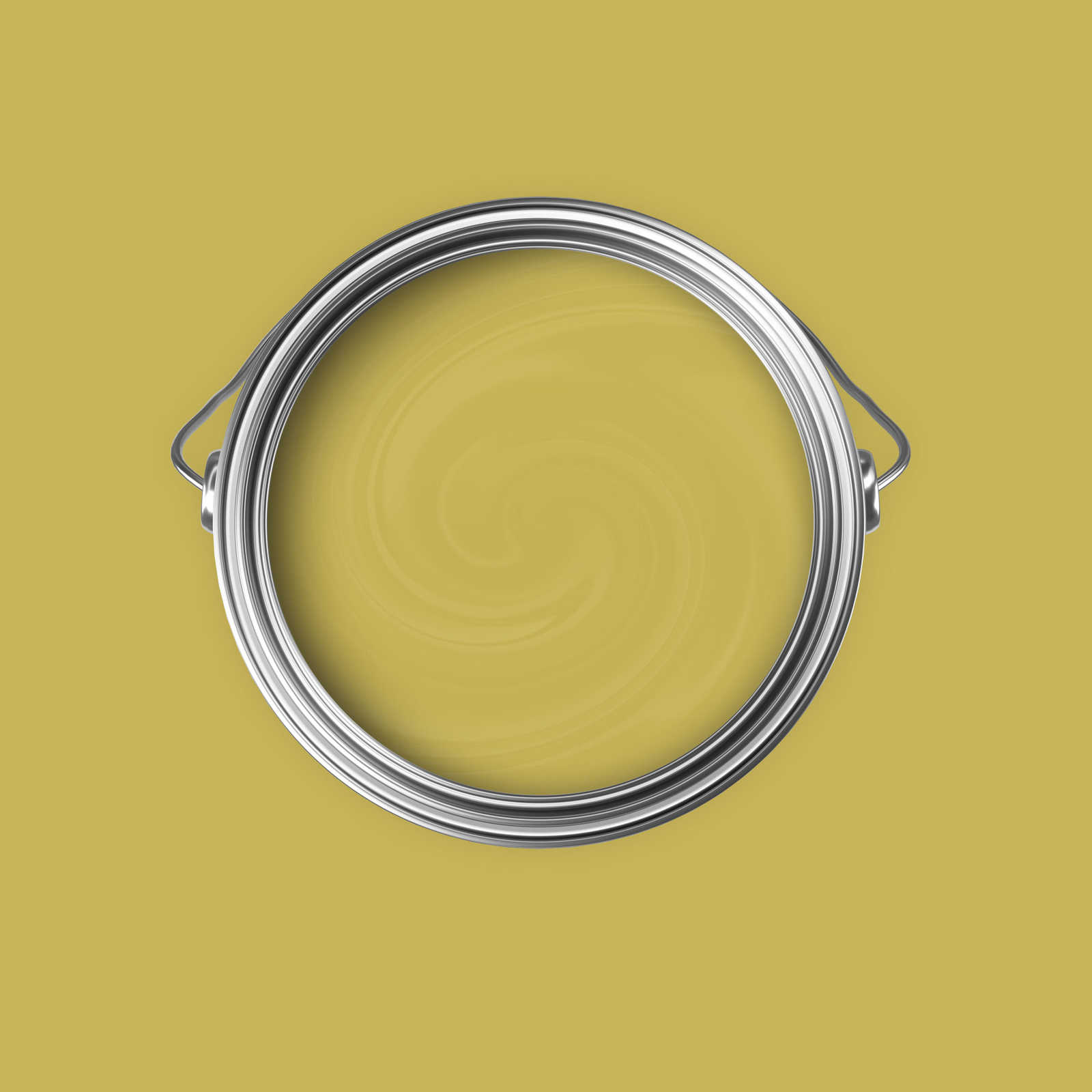             Premium Wall Paint Radiant Pistachio »Lucky Lime« NW603 – 5 litre
        