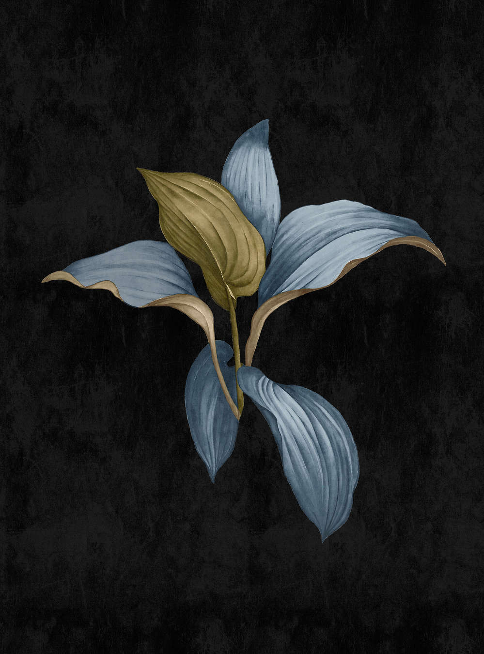             Fidji 3 - Papier peint panoramique sombre Design botanique bleu & vert
        