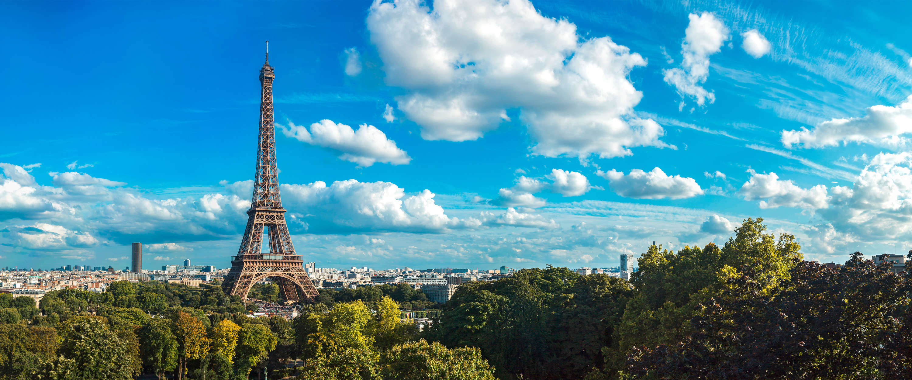             Eiffeltoren & Skyline van Parijs Behang
        