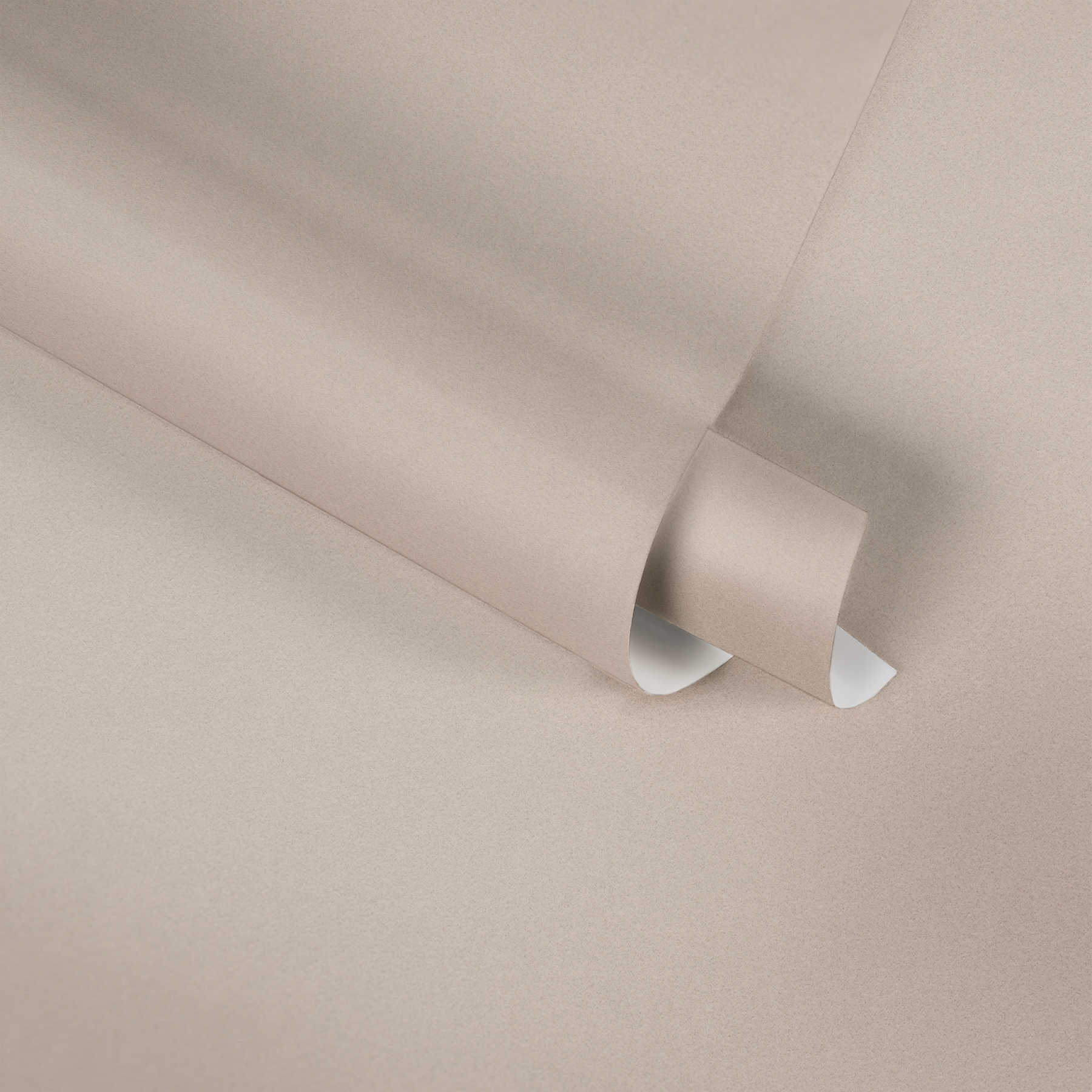             Neutral non-woven wallpaper plain, matte & warm - beige
        