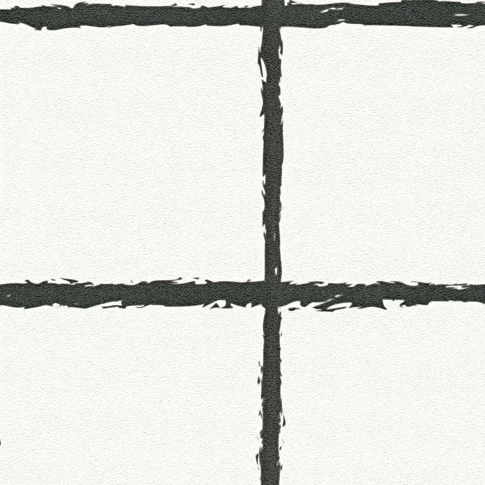            Vliesbehang met getekend ruitpatroon - zwart en wit
        