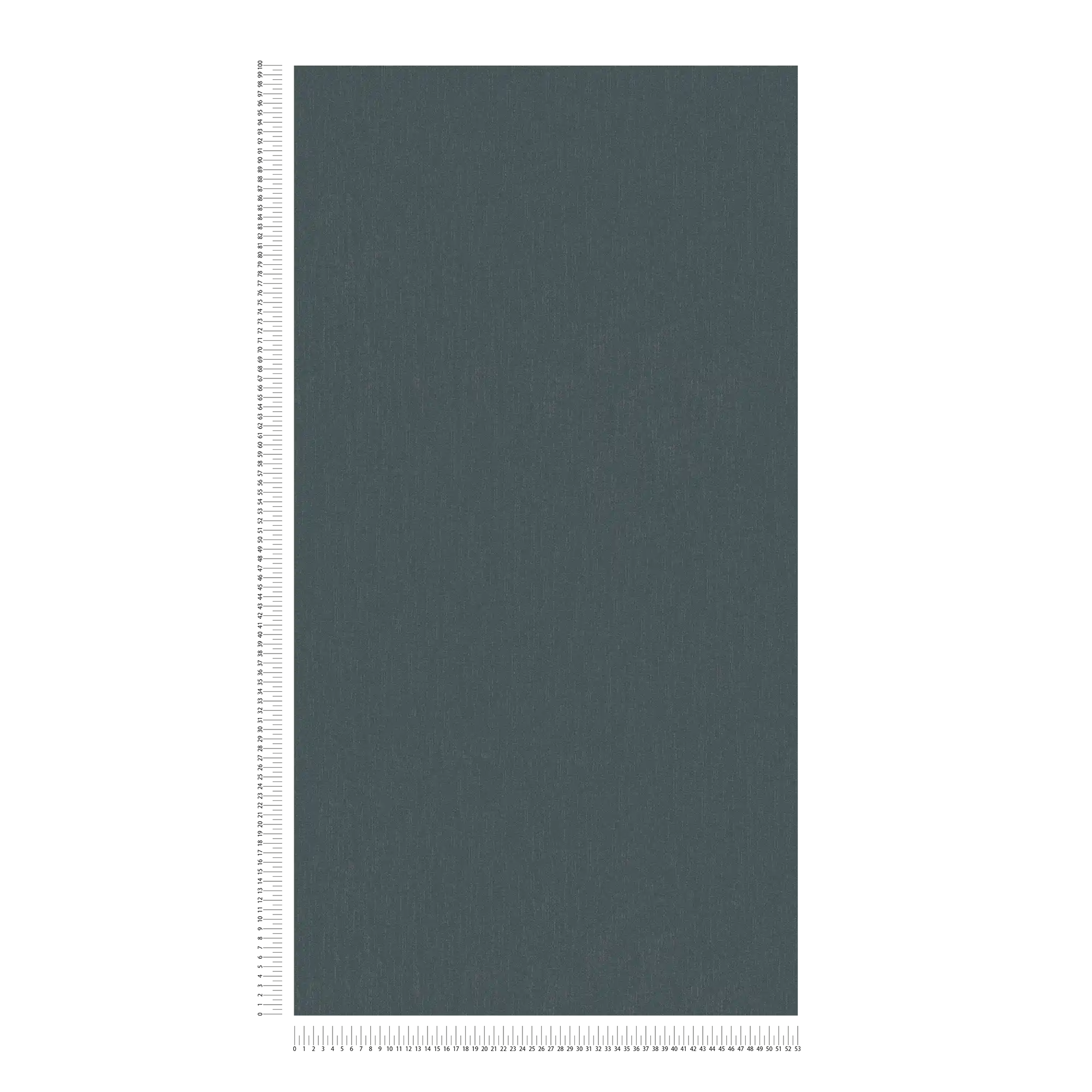             Papier peint gris anthracite avec effet brillant argenté - noir, gris
        