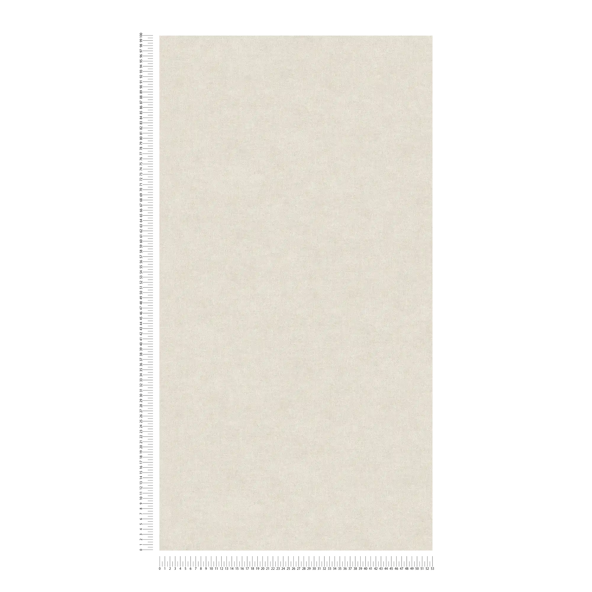             Carta da parati beige in stile boho a tinta unita, opaca e con motivo a struttura
        