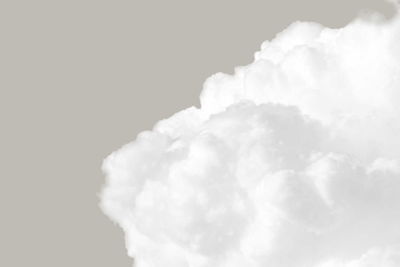             Quadro su tela con nuvole bianche nel cielo grigio - 0,90 m x 0,60 m
        