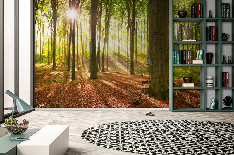             Nature mural forest with sun rays on premium smooth nonwoven
        