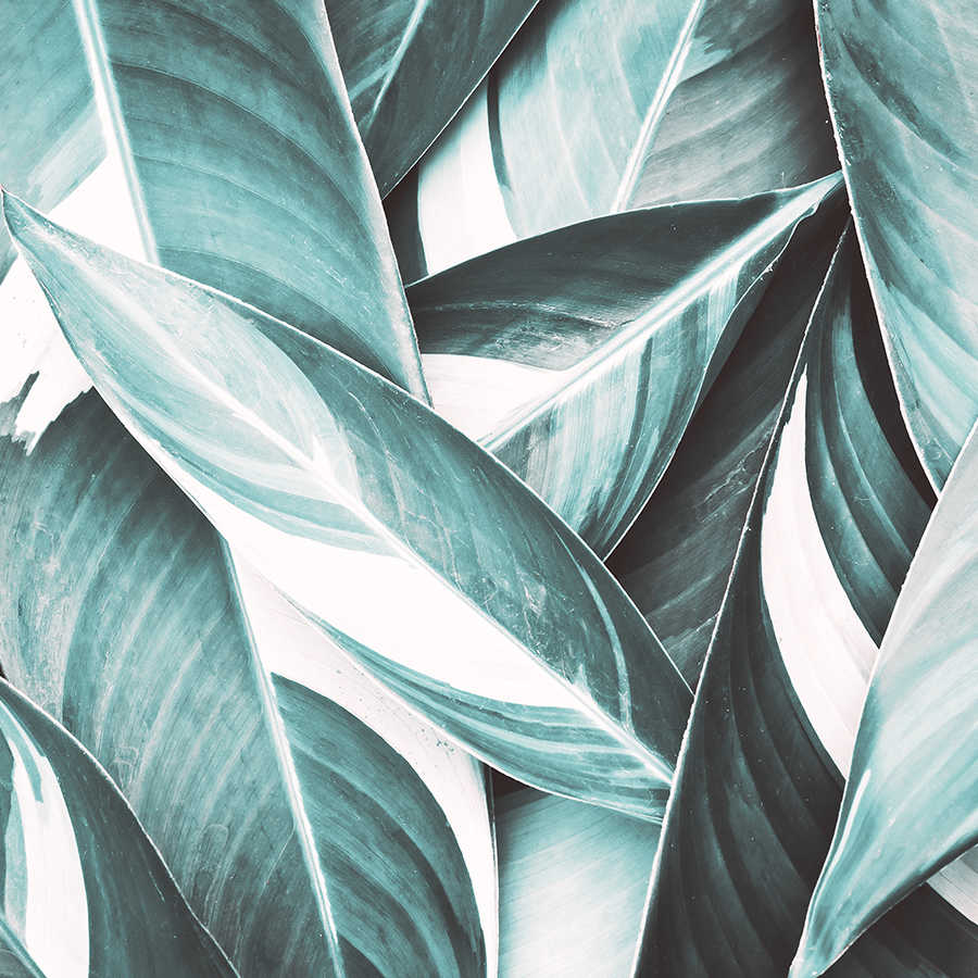 Papel pintado de la naturaleza con motivo de hojas de palmera gris sobre vellón liso nacarado
