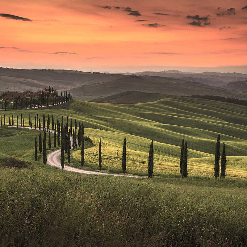 Toscaans landschap bij schemering - groen, oranje
