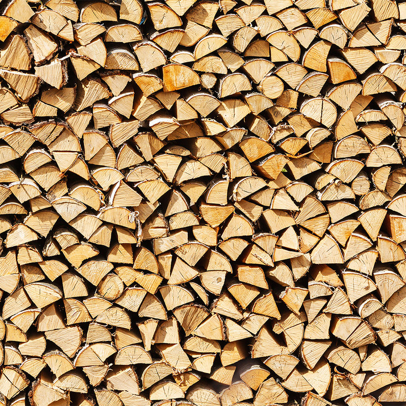 Photo wallpaper stacked firewood, firewood - mother of pearl smooth fleece
