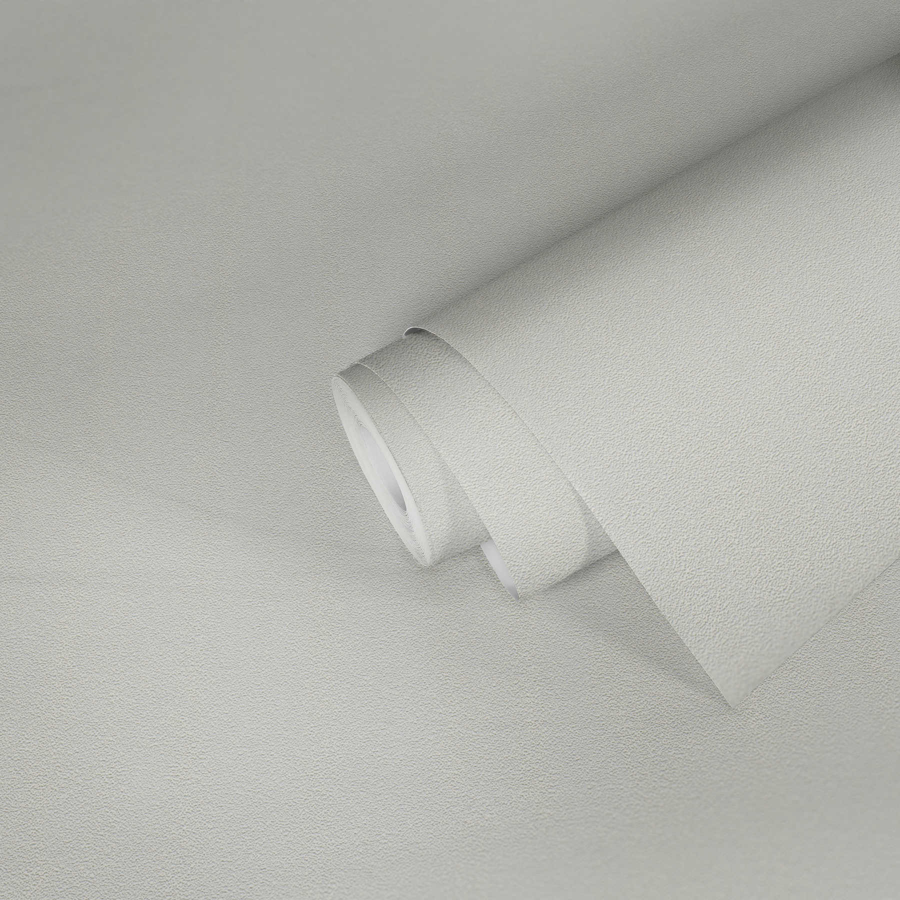             Wallpaper with flat felt plaster structure - white
        